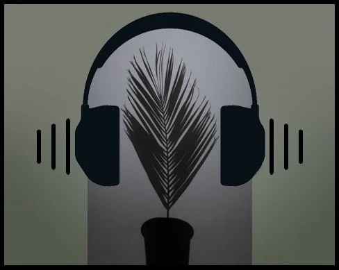 Blacklisted, A Planted Allegory: Audio Guide by Jenny Yurshansky