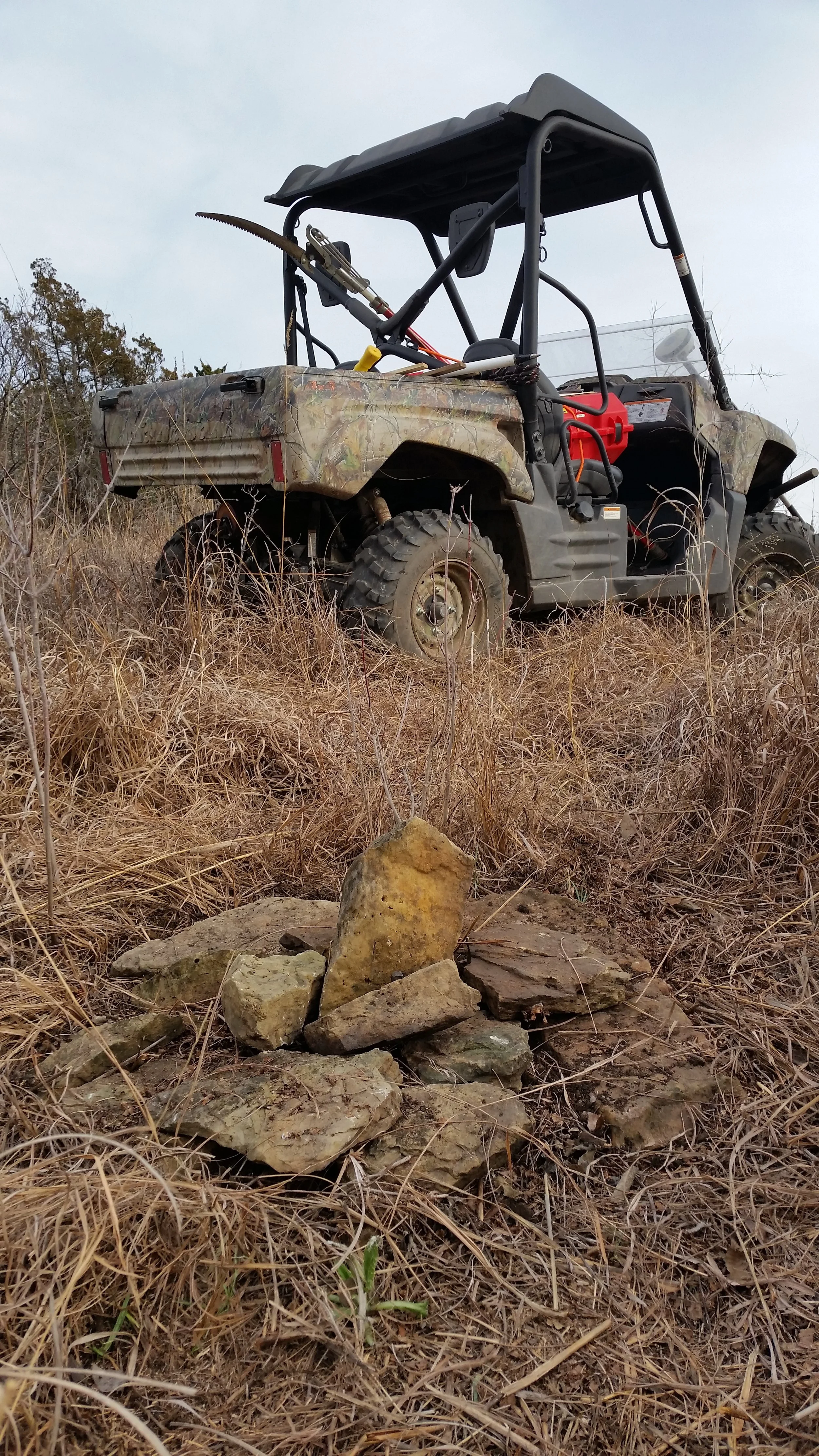 StoneAndBuggy.jpg