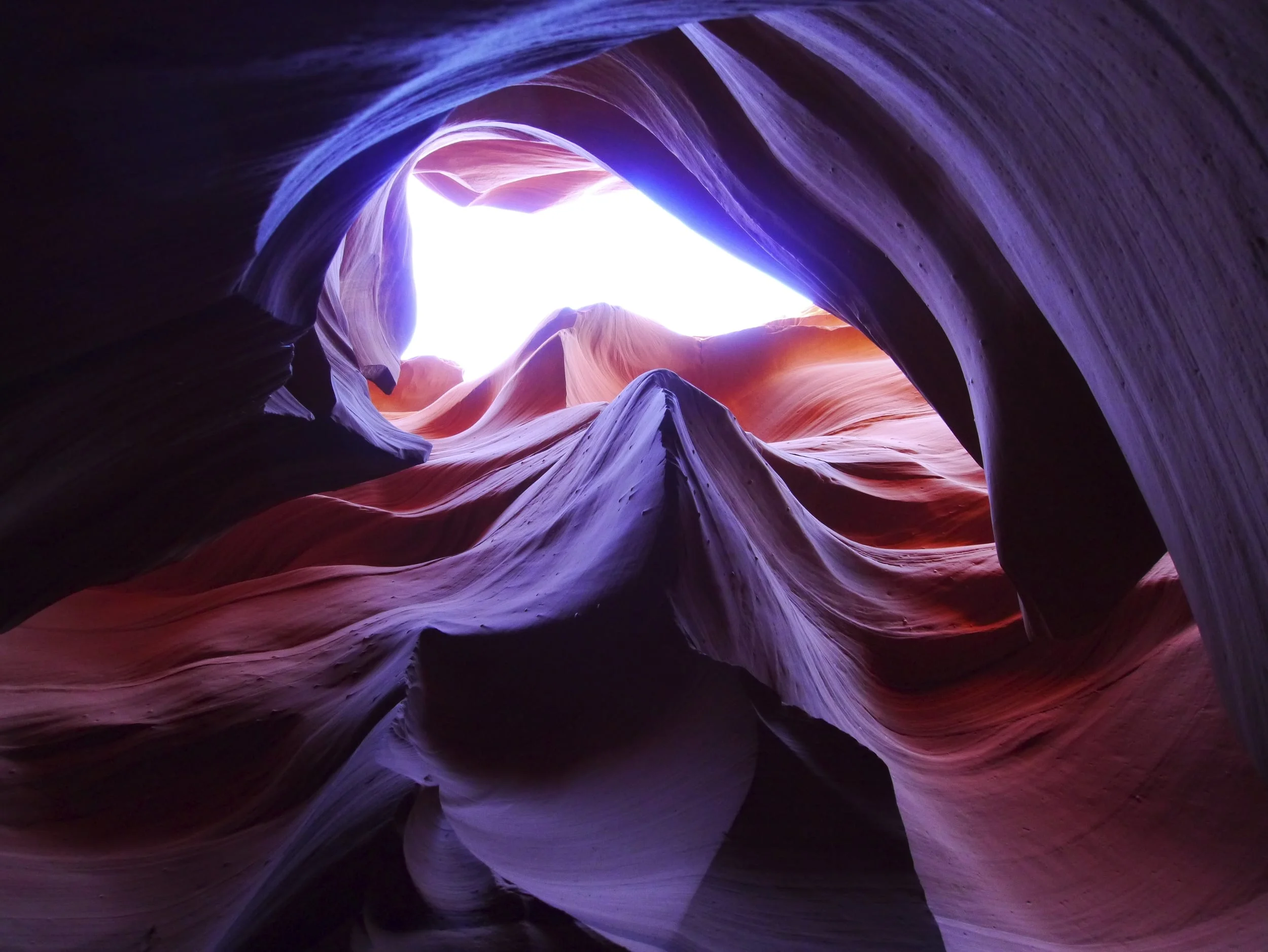 antelope 3_iStock_000043017326_Full.jpg