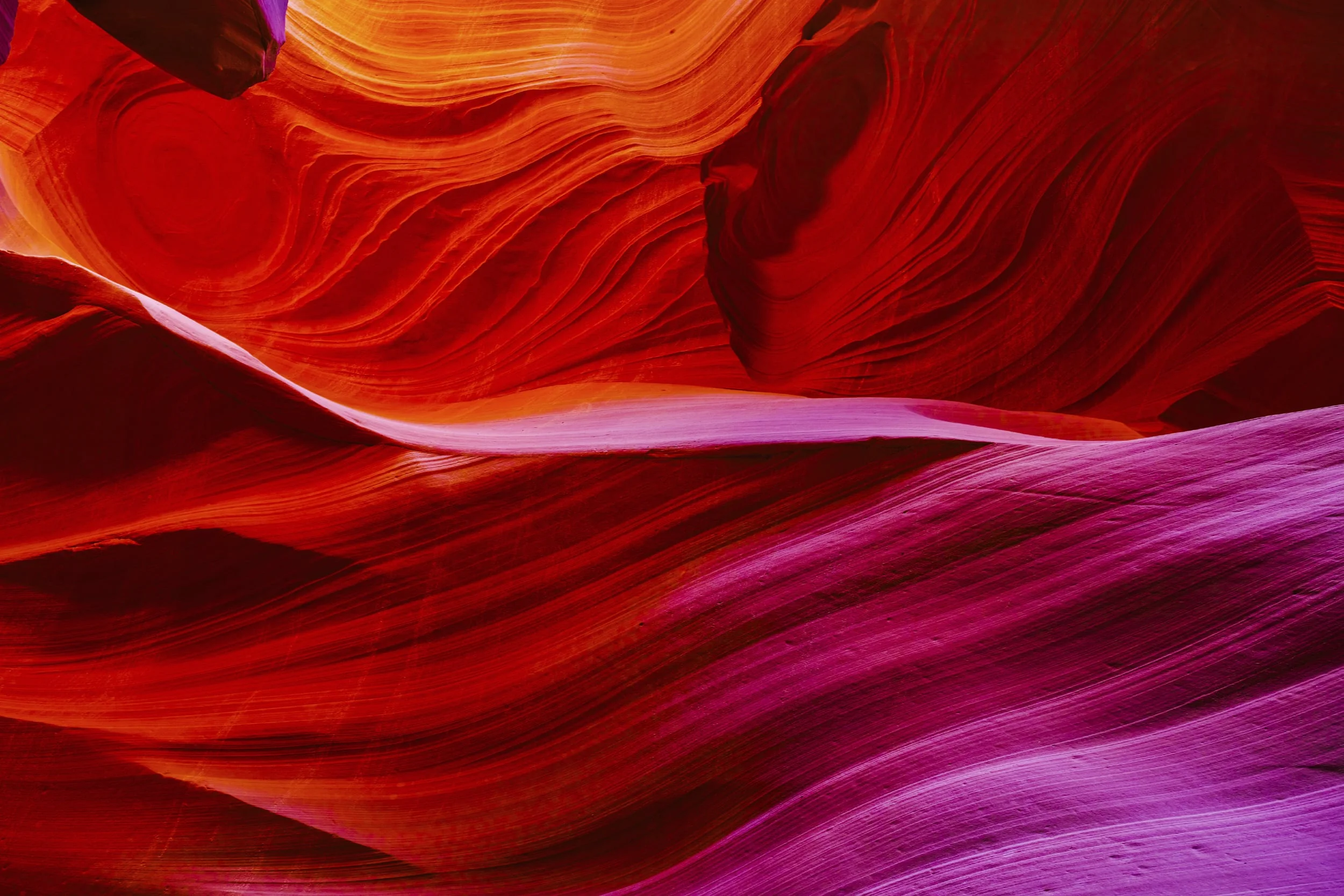 antelope 2_iStock_000063496879_Full.jpg