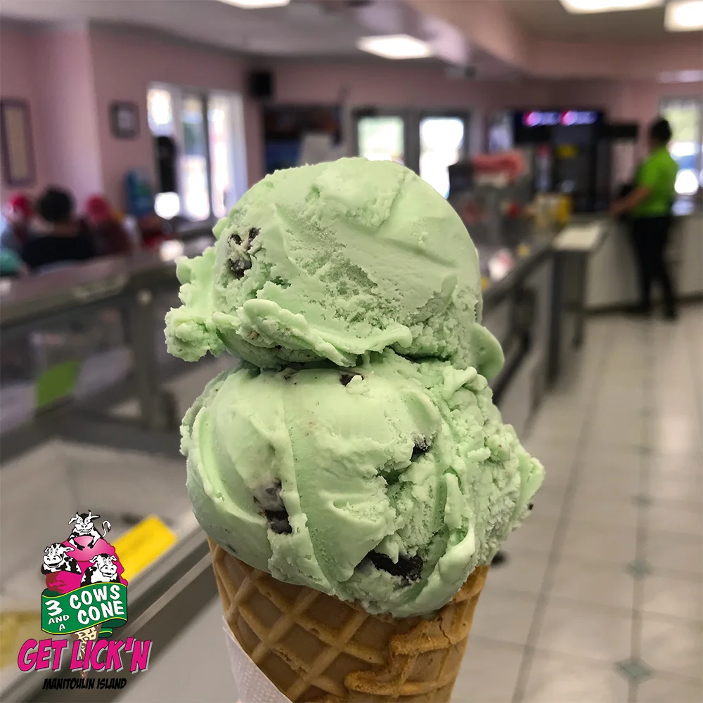 mint chip logo.jpg