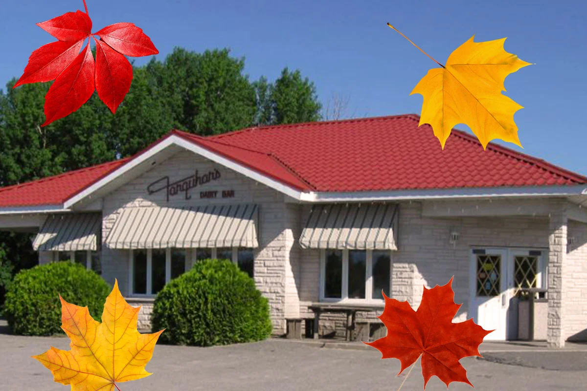 Why 3 Cows and a Cone is the Place to be this Fall