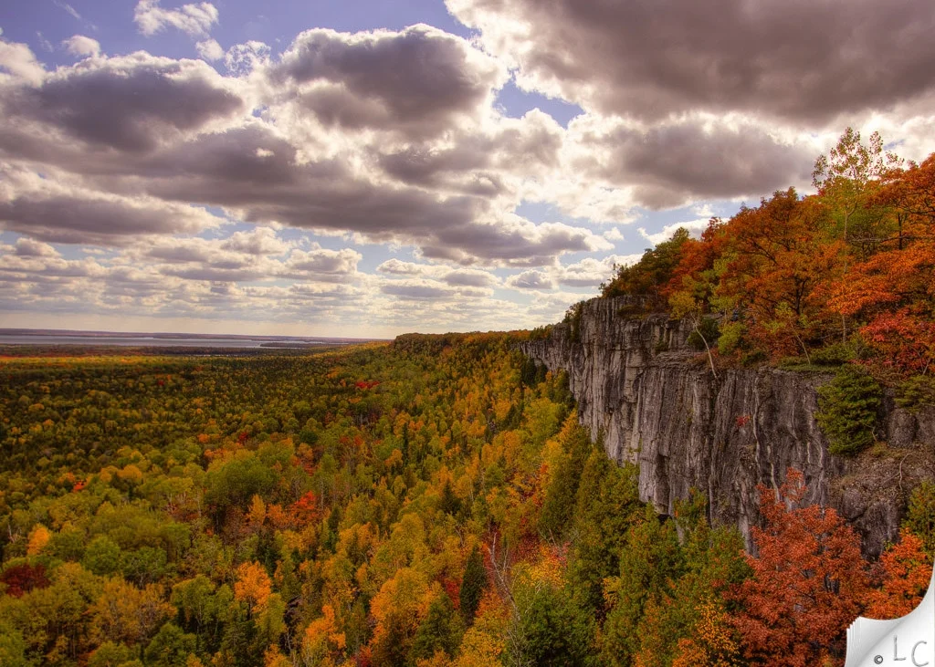 Cup and Saucer, fall (Photo: Flickr , Lynn Clement)