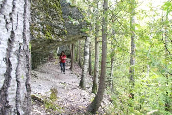 Adventure trail (Photo: TripAdvisor )