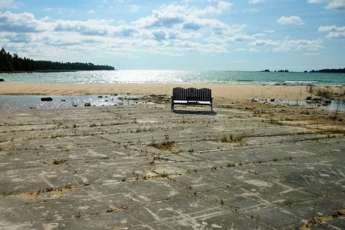 Alvar “pavement” environment at Misery Bay Provincial Park (Photo: Niackery.com )