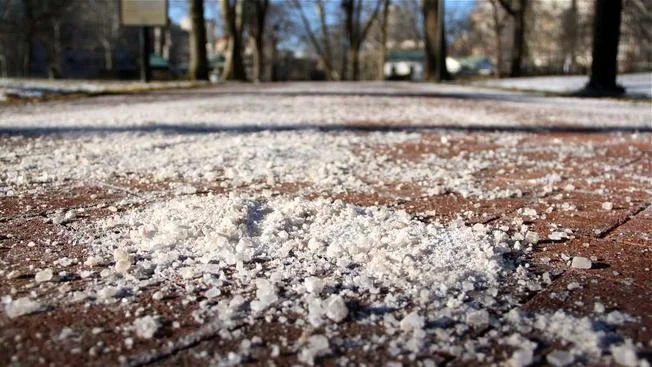 Sidewalk salt (Photo : NBC Philadelphia )