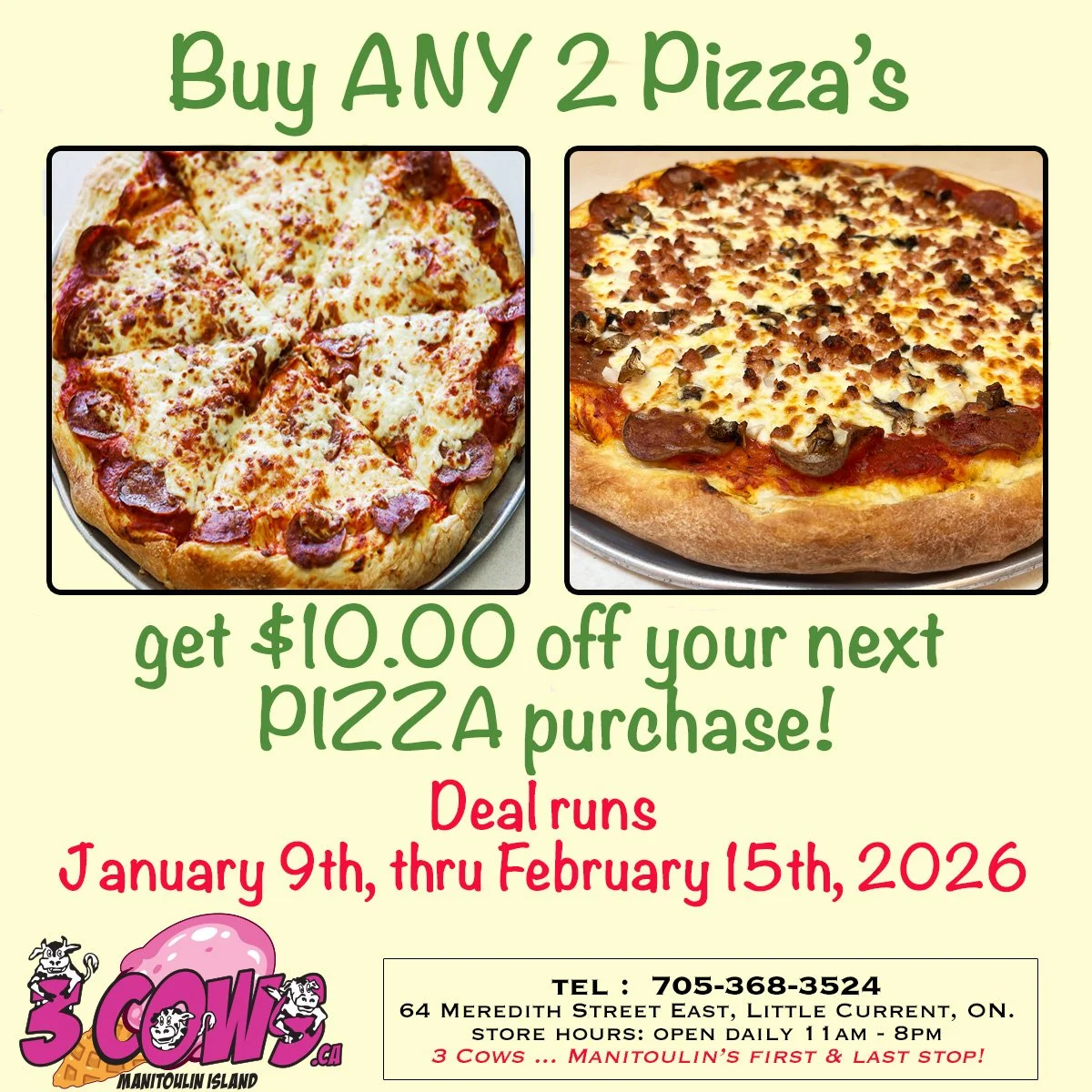 Pizza Coupon Deal copy.jpg
