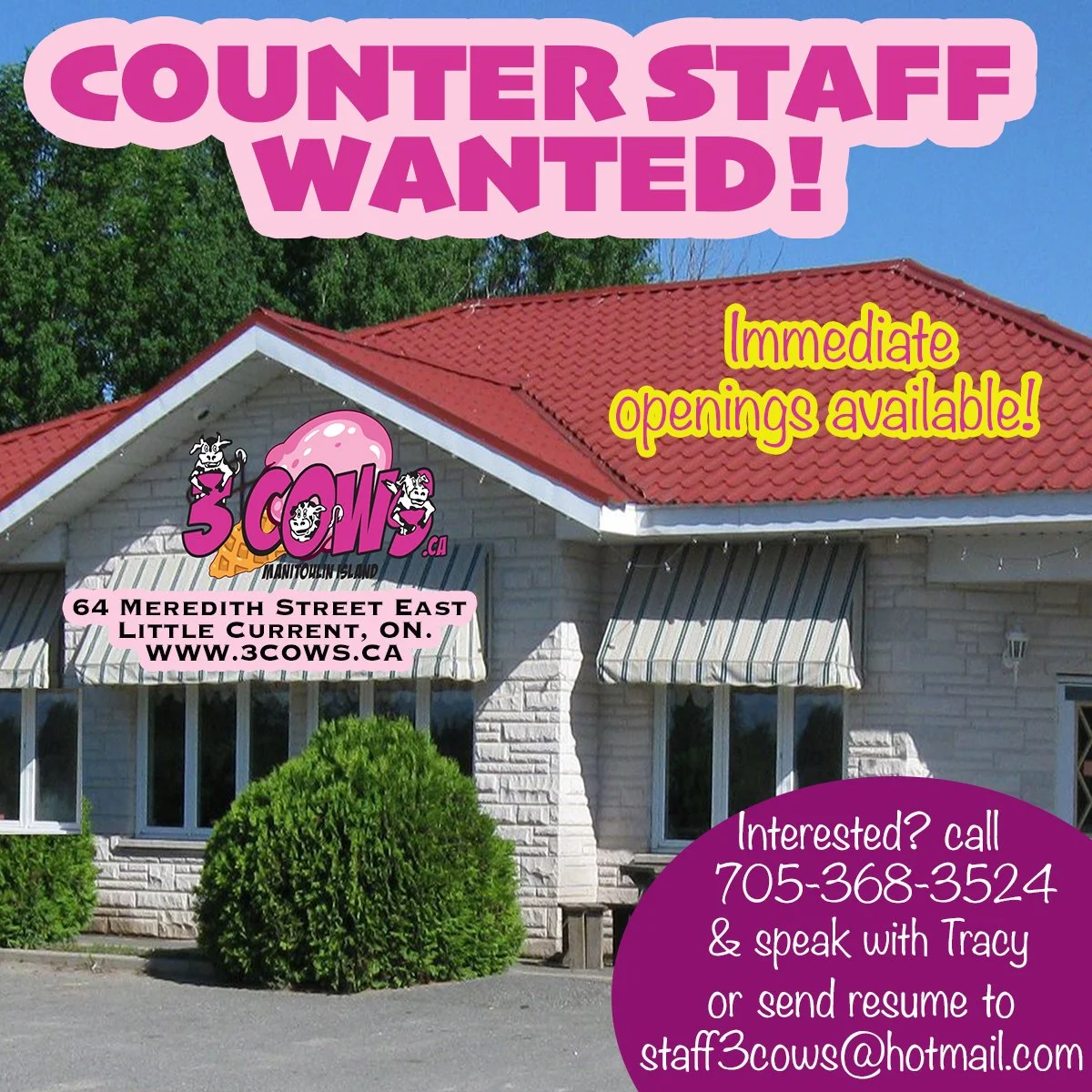 Counter Staff - March 2026 copy.jpg