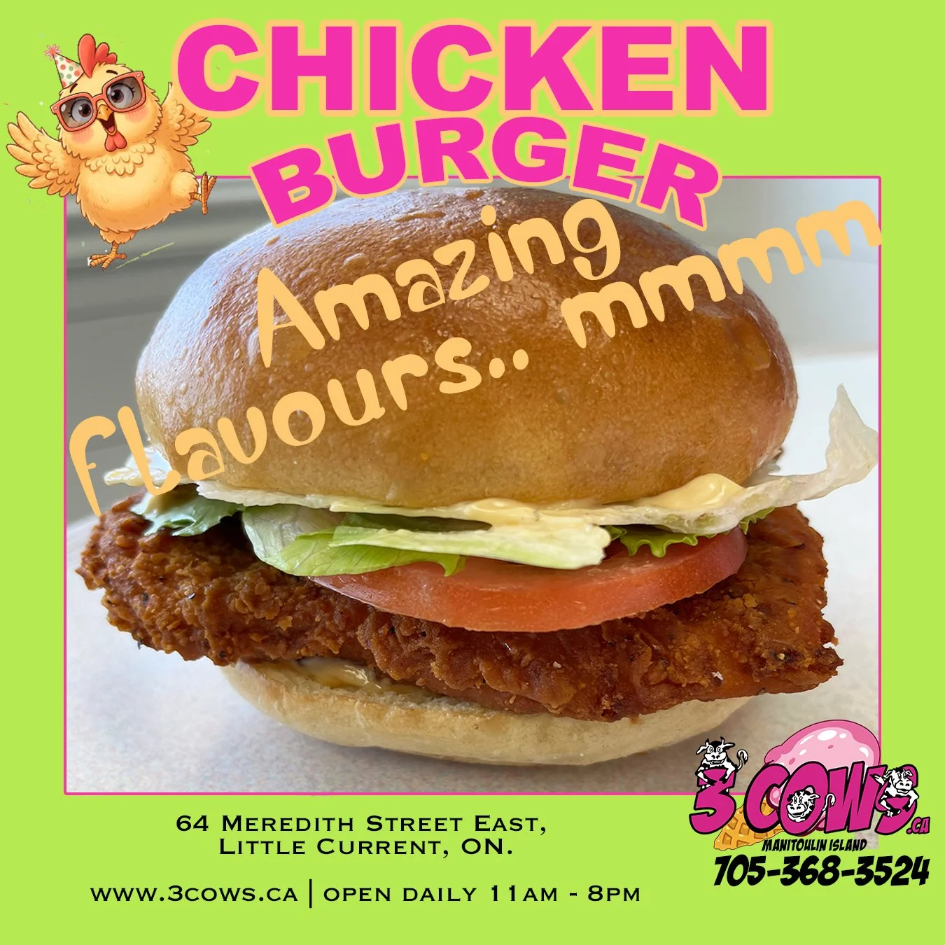 Chicken Burger - Sept 2026 copy.jpg