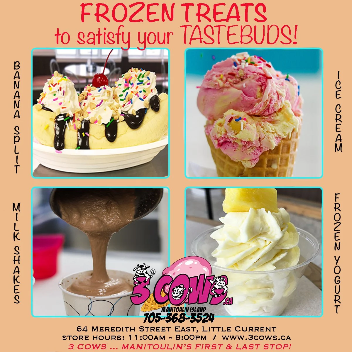 FROZEN TREATS - Sept 2026 copy.jpg