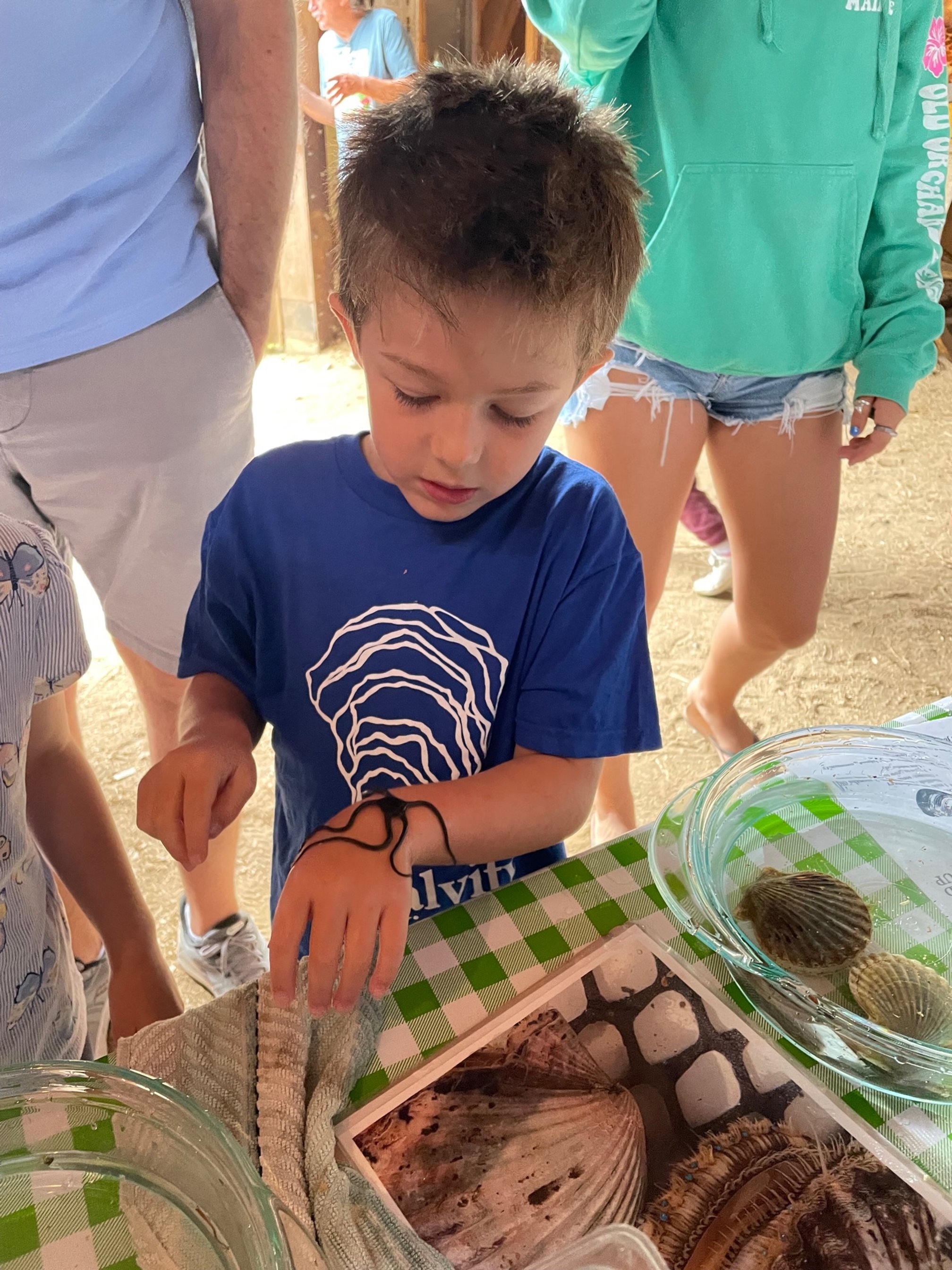 Oliver with starfish at AGfair (1).jpg