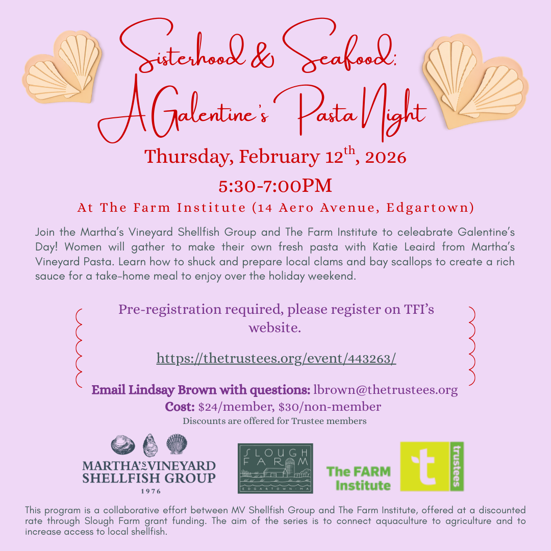 Galentines with MVSG and TFI 2_12_26 (2).png