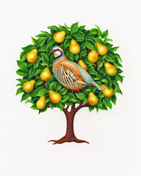 partridge in a pear tree72.jpg