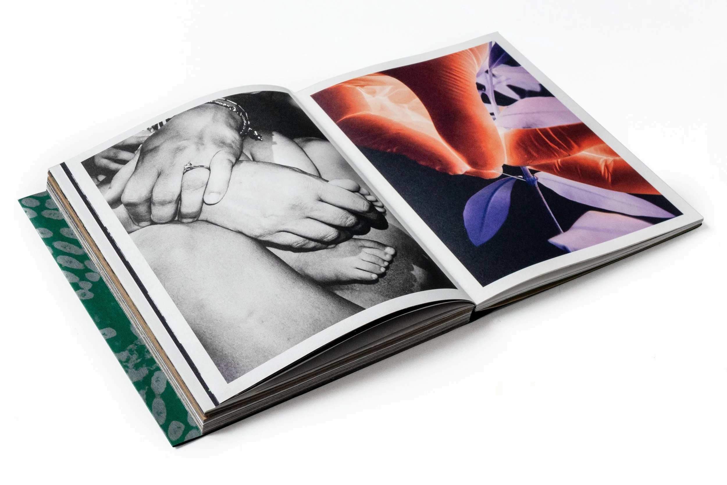 Fastidiosa ©Jean-Marc Caimi & Valentina Piccinni and Overlapse - 05.JPG