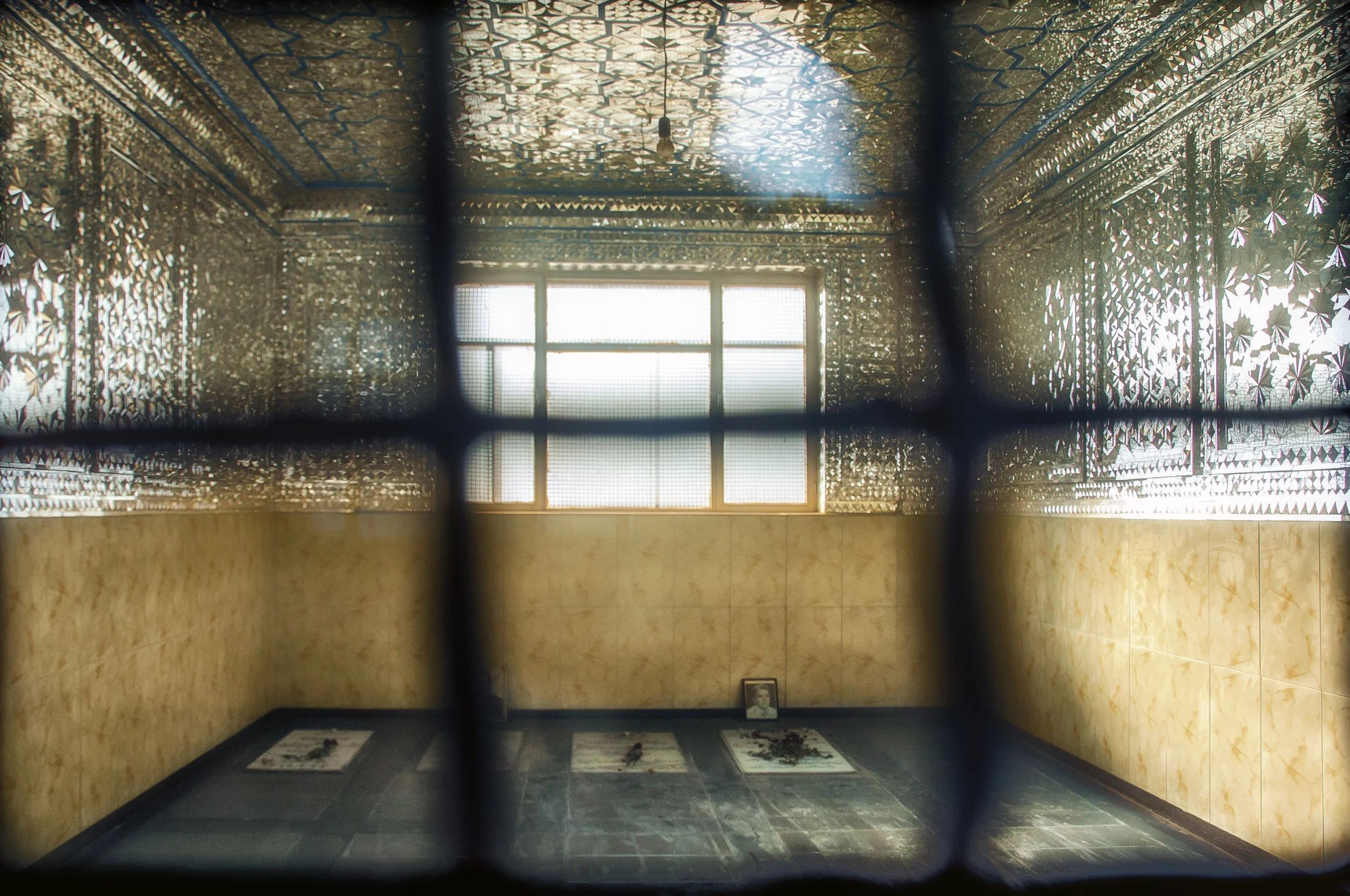 Masoud Alipourian - 8dsc_0192afe7x.jpg