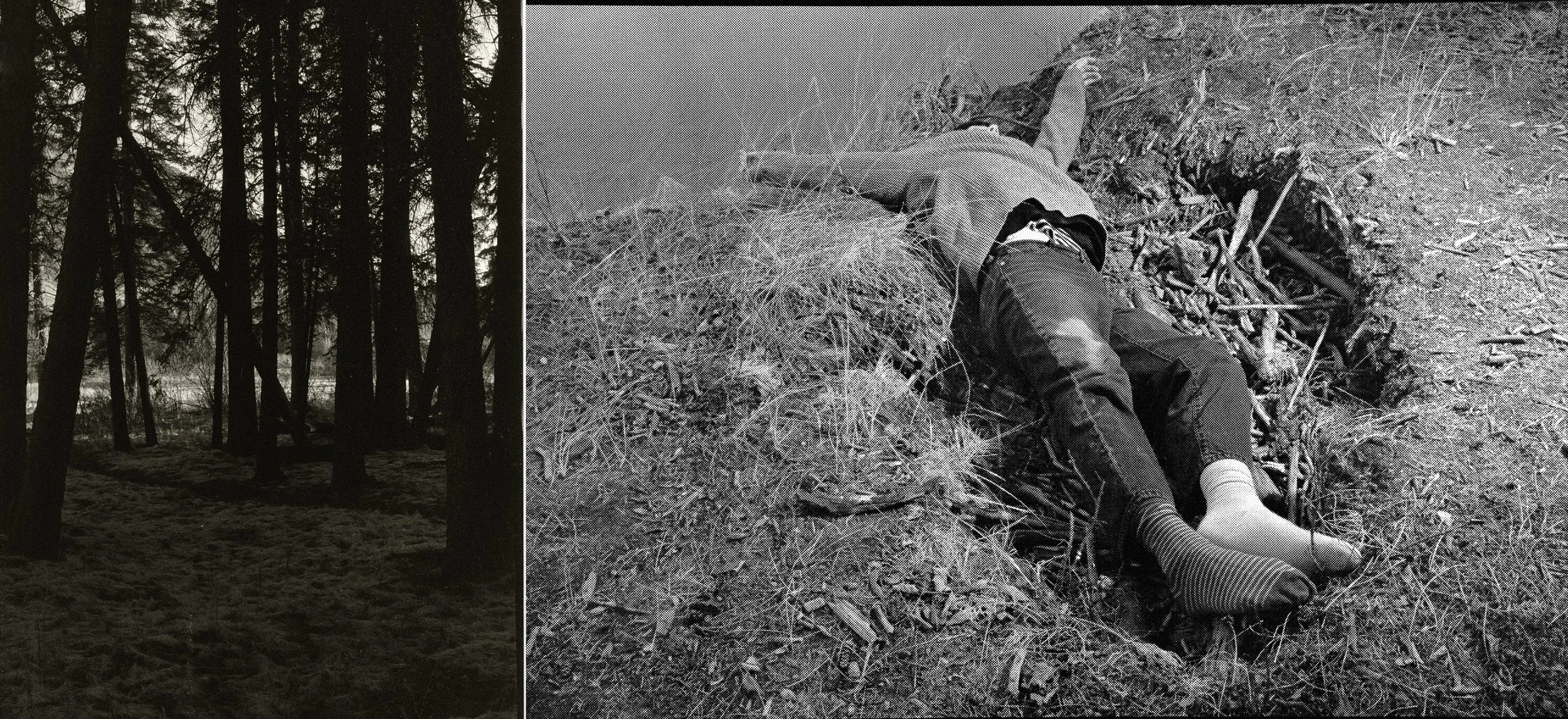 A conversation with the forest 2