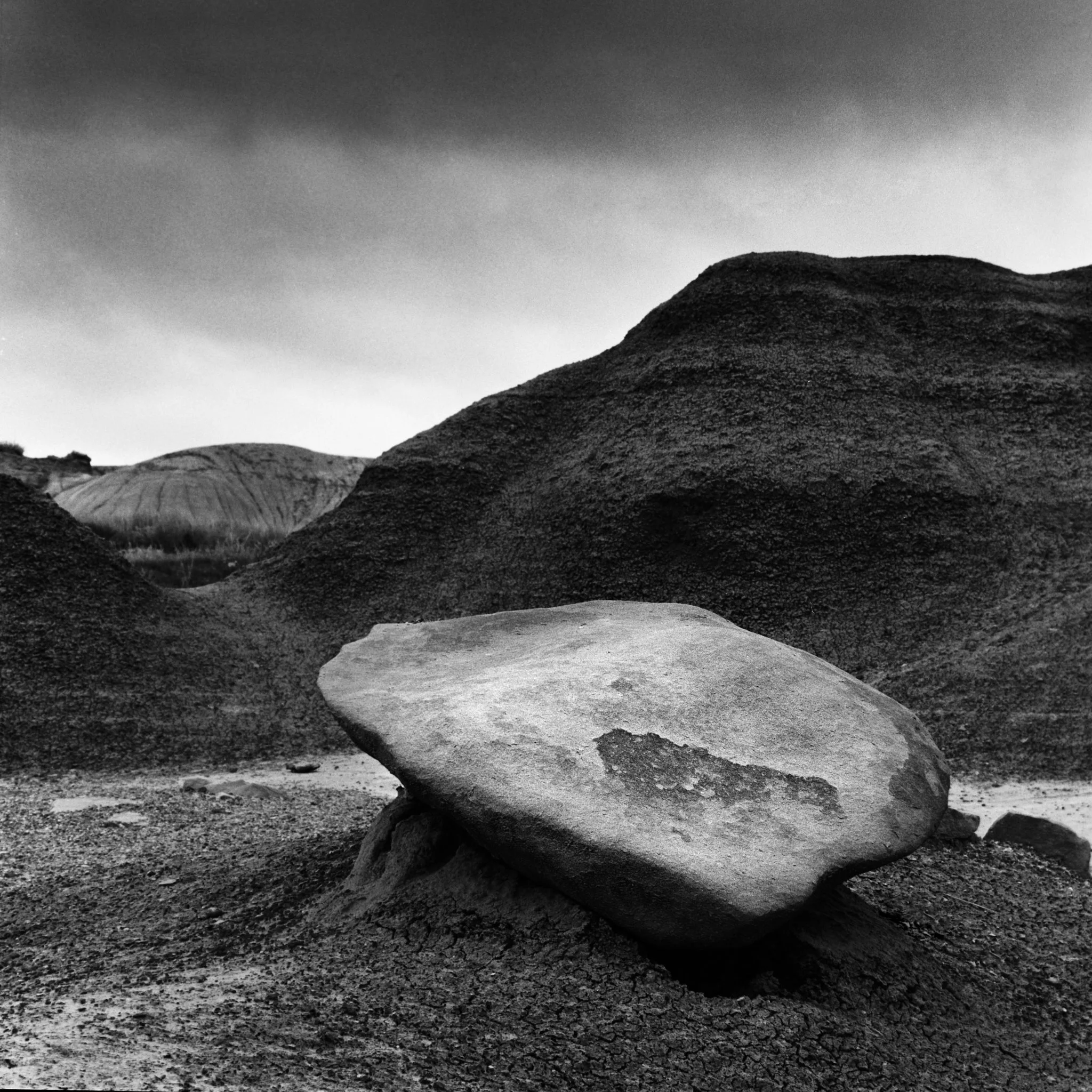 Ilford Analog Film Photography Workshop - Advanced Black & White 