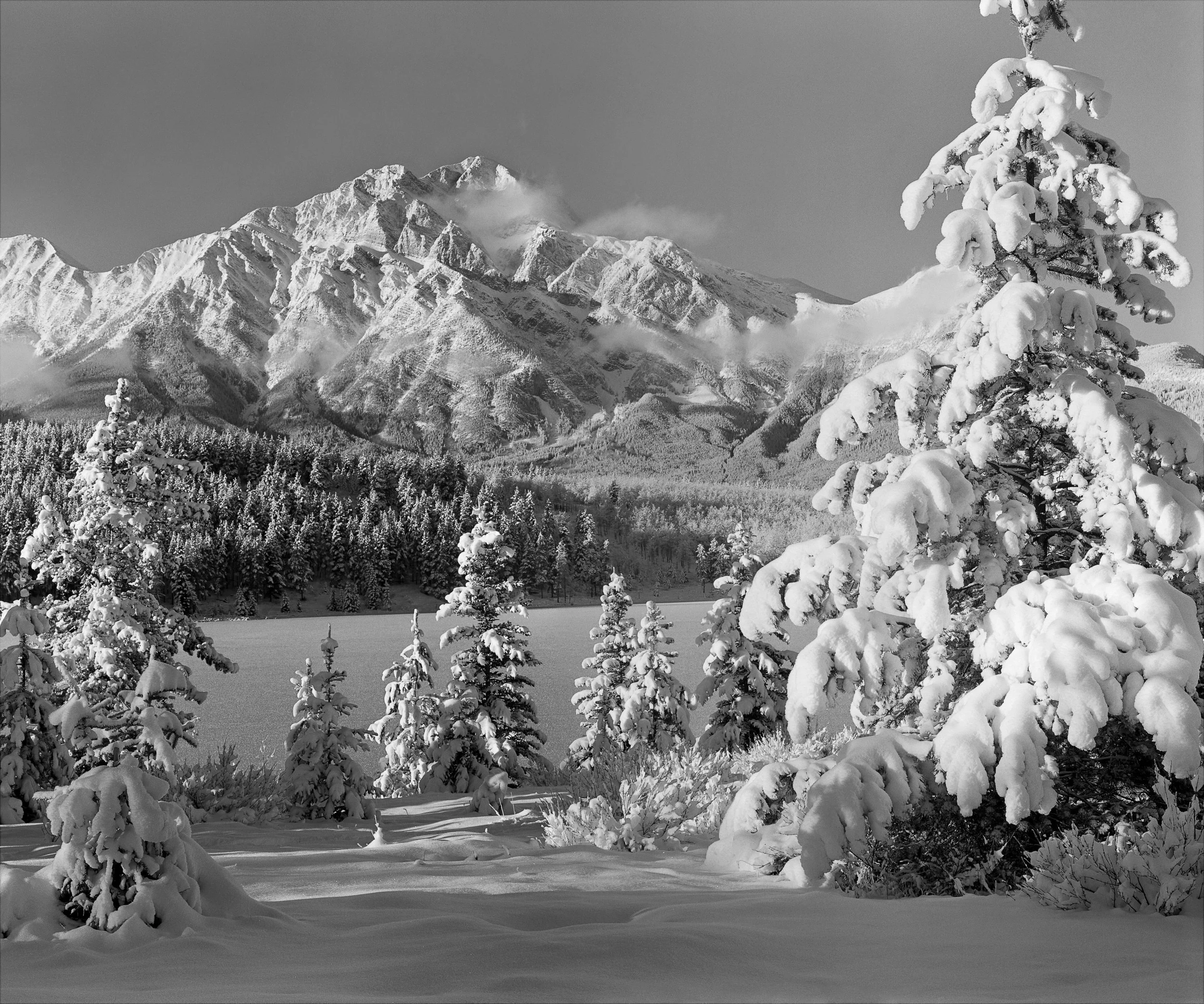 Scott Rowed Photography Workshop