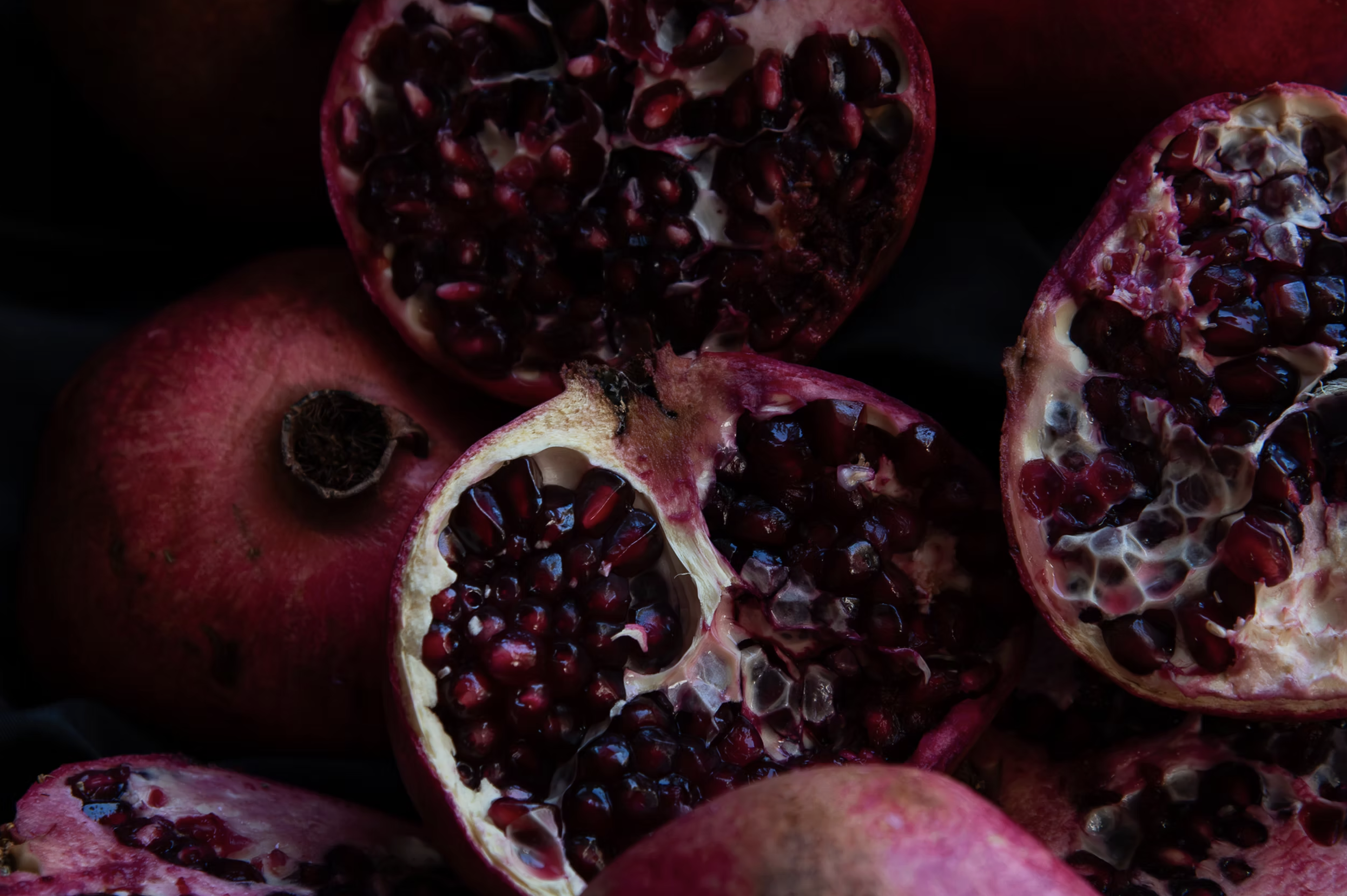 Women in Photography Print Exchange