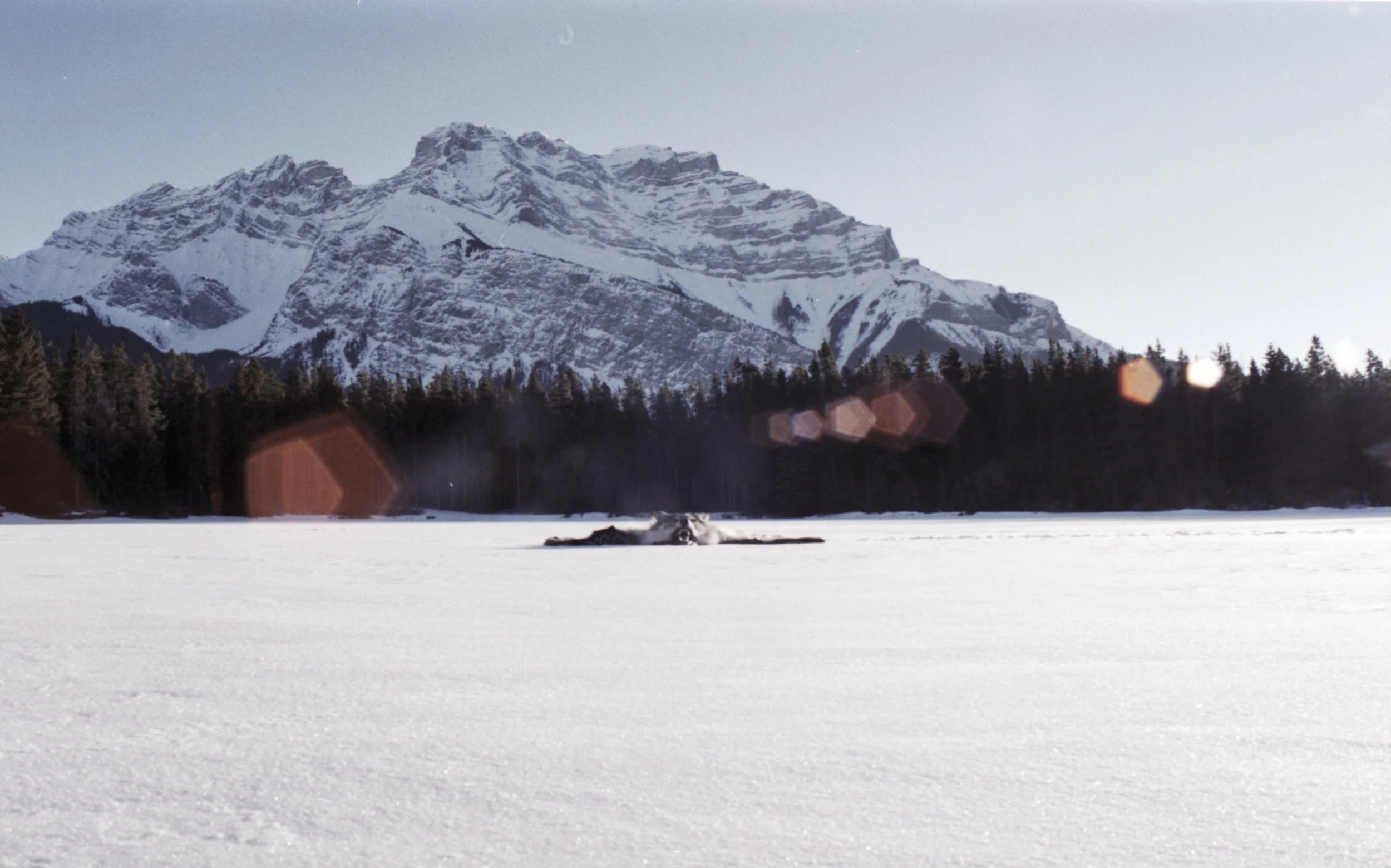 Exhibition Openings at the Waterton Park Community Centre