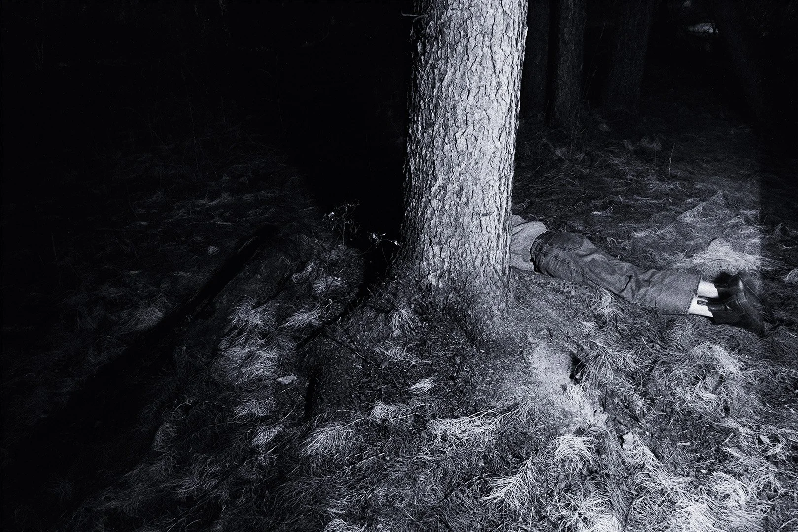 Self Portrait (Another Body to Rott)