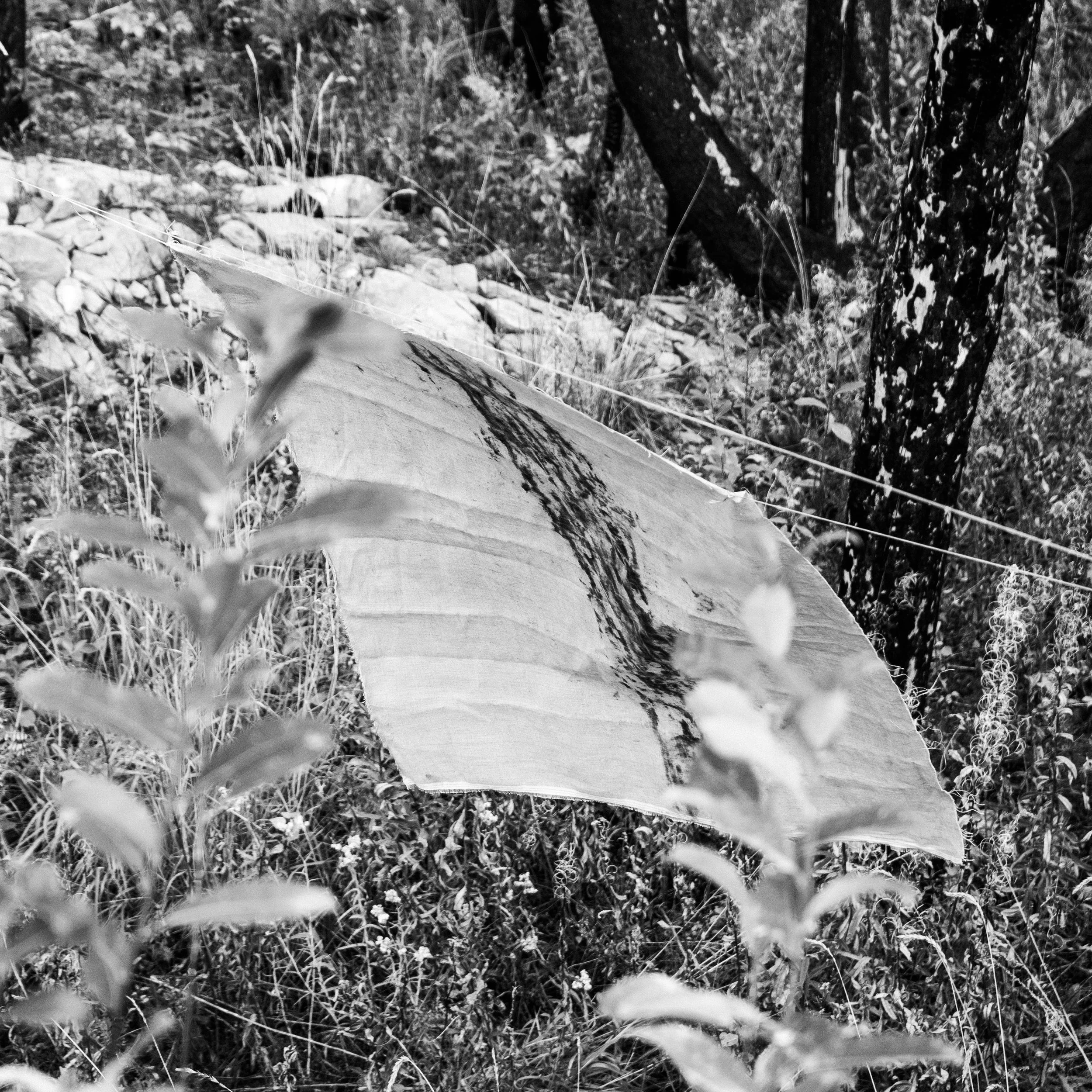 Post Wildfire Drawings (B)