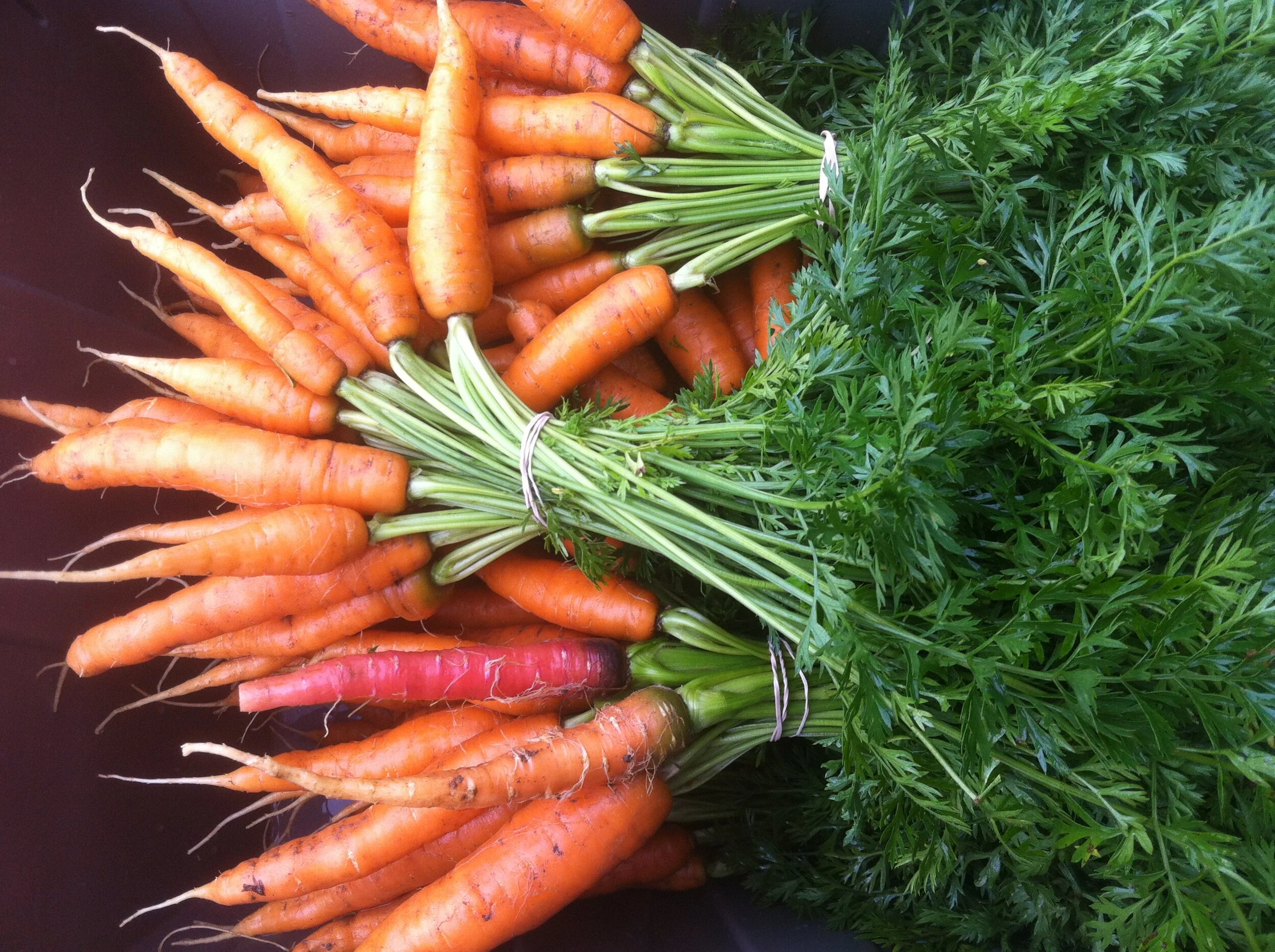 Food insecurity before and since COVID-19