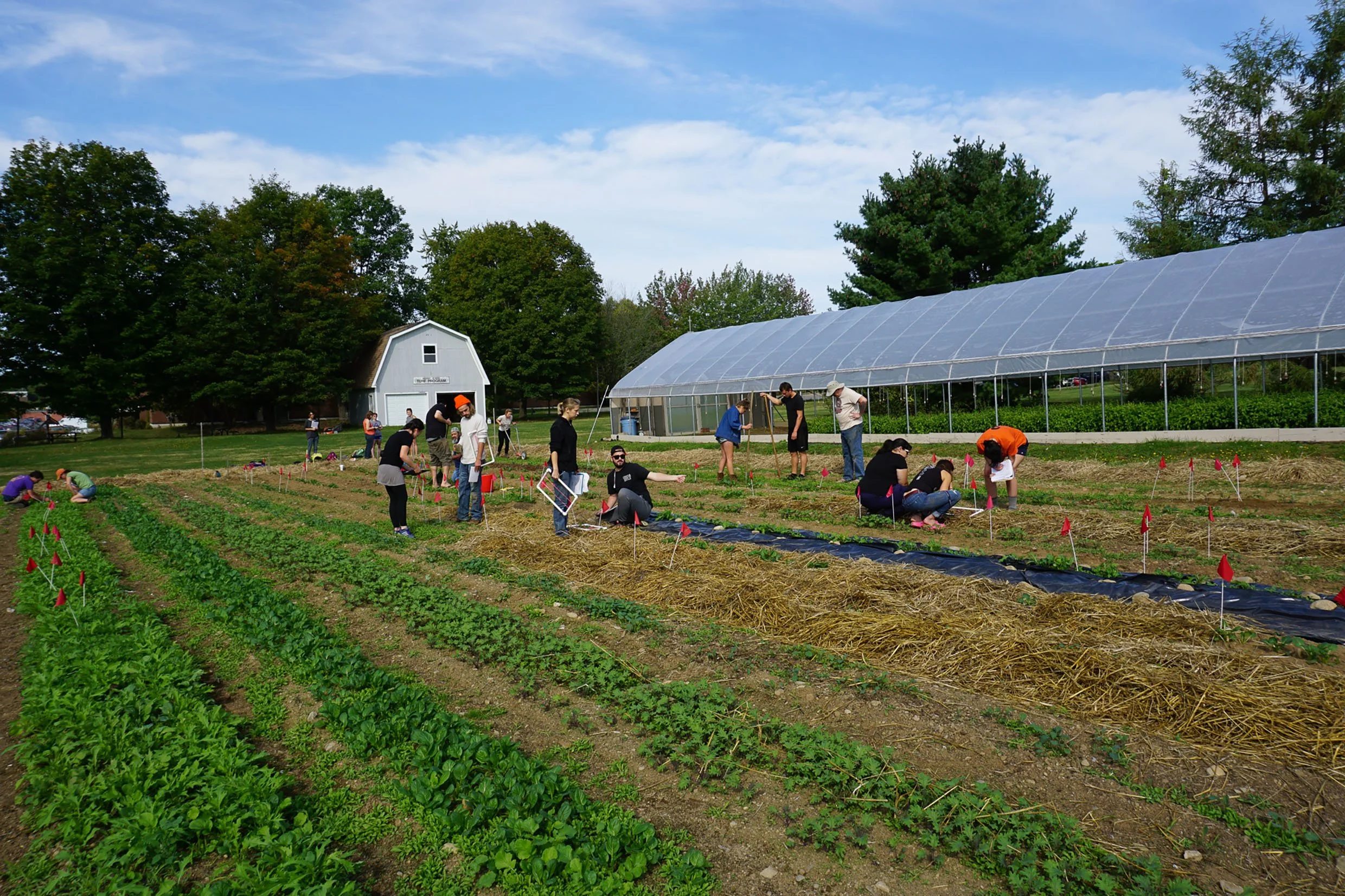 New article: Commoning climate change: Peer-to-peer social affinity in a multi-level commons