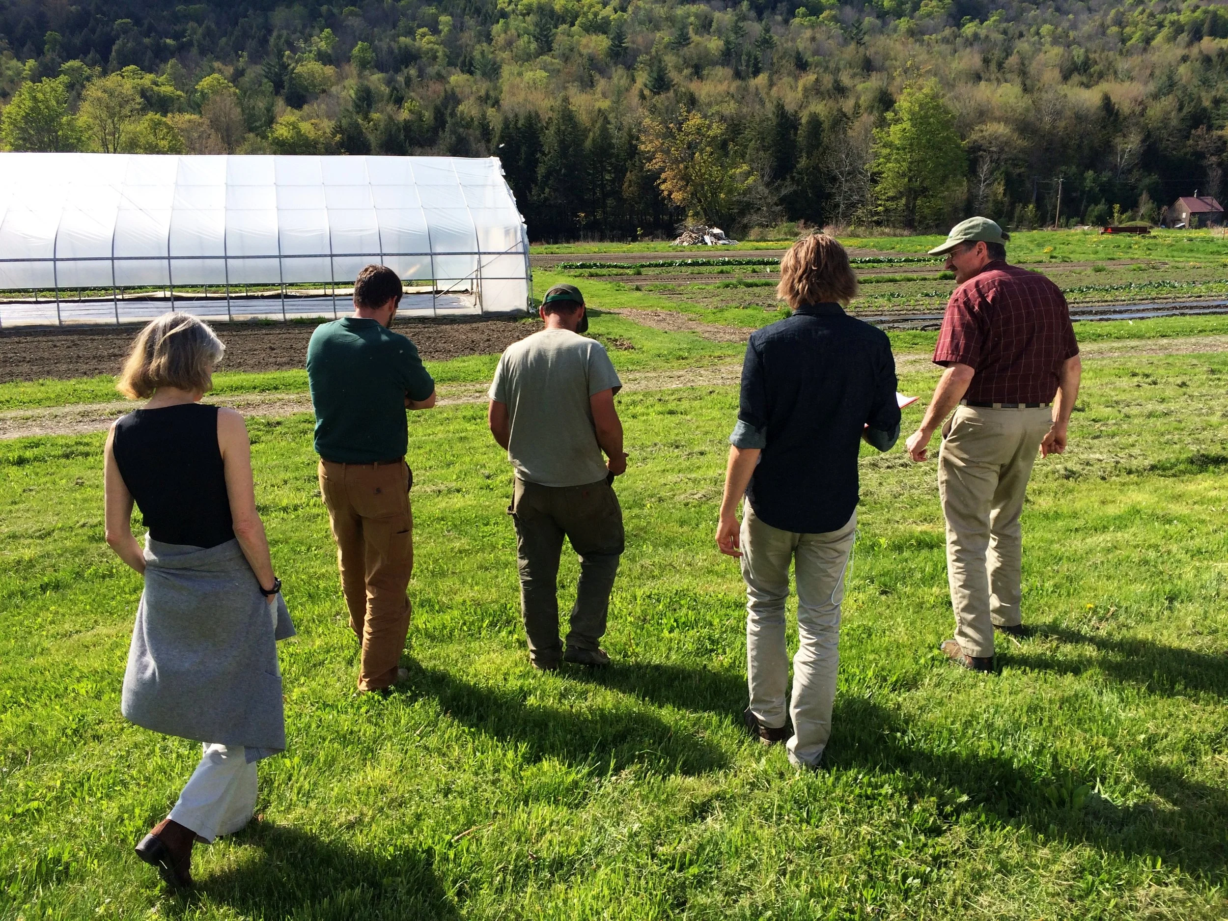 Photo by Rachel Schattman IMG_7283.JPG