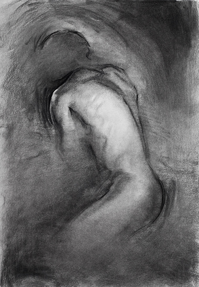 torso (Copy)