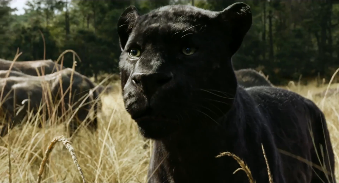 The Jungle Book