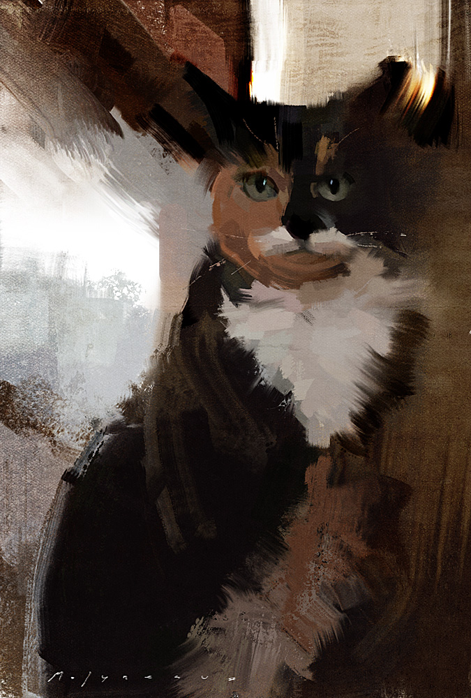 cat-study.jpg
