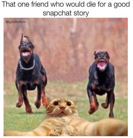 We all have that one friend, right? LOL