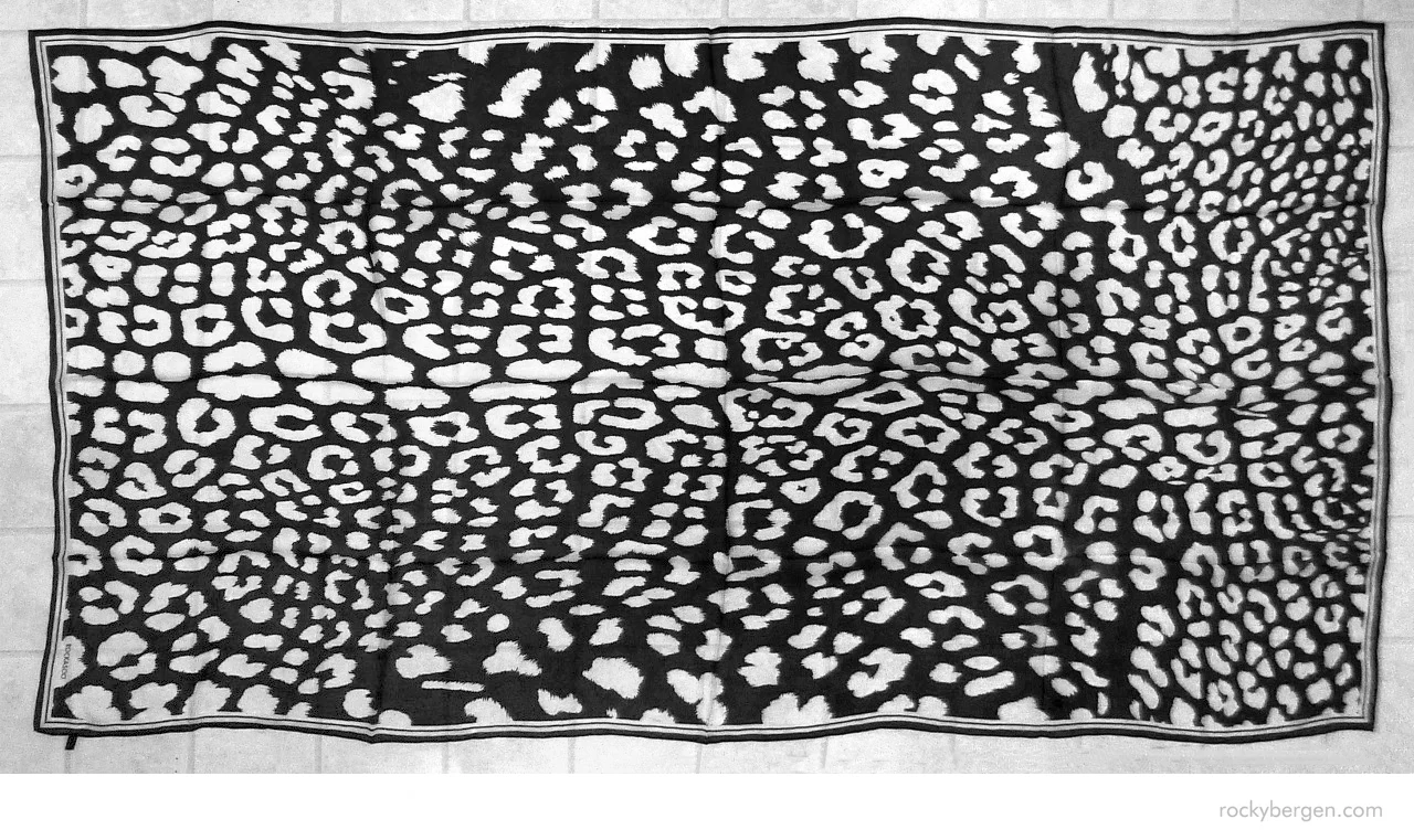  Printed silk chiffon - the airy nature of the fabric makes it quite translucent 