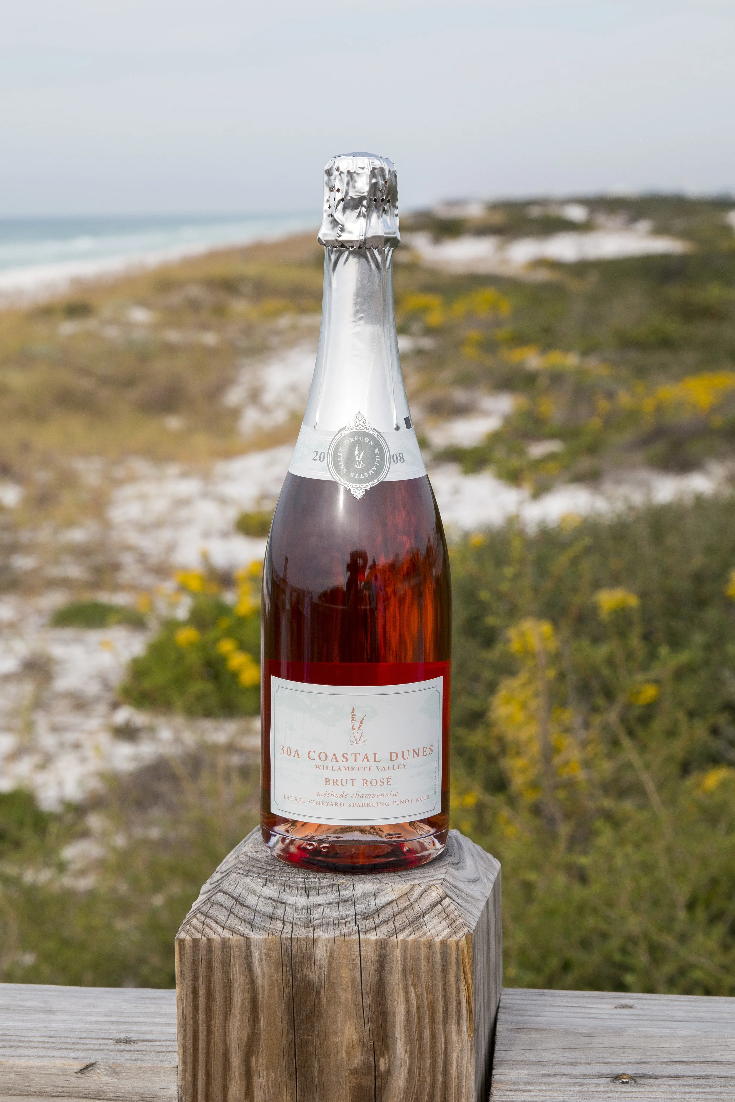 2008 Willamette Valley Brut Rosé