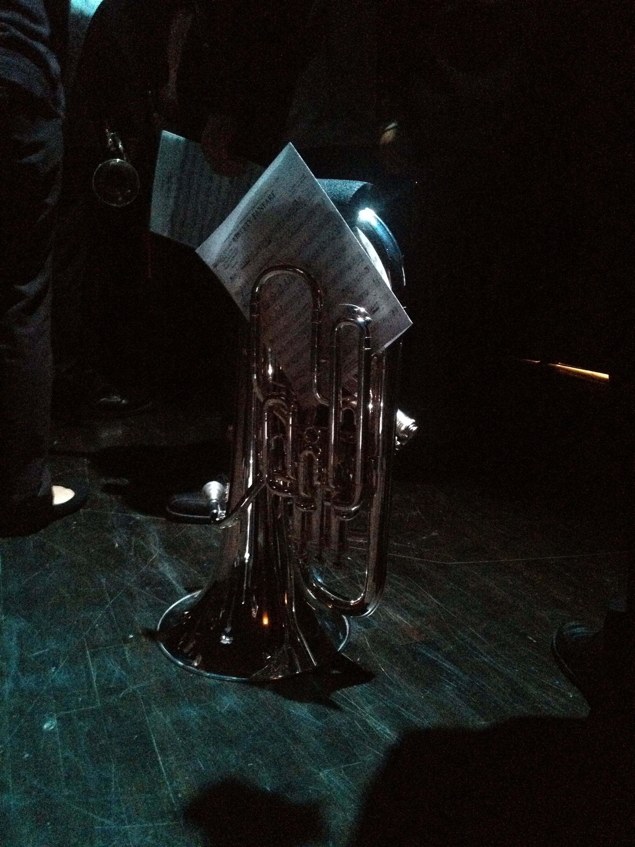 euph.jpeg