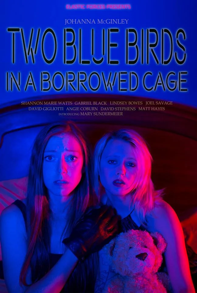 2 Bluebirds in a Borrowed Cage