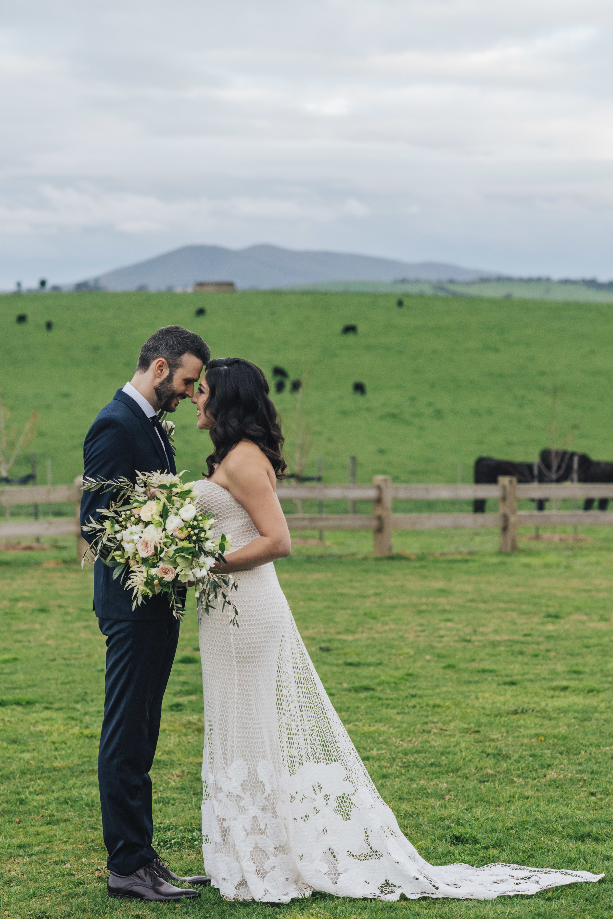 Cows in pasture wedding