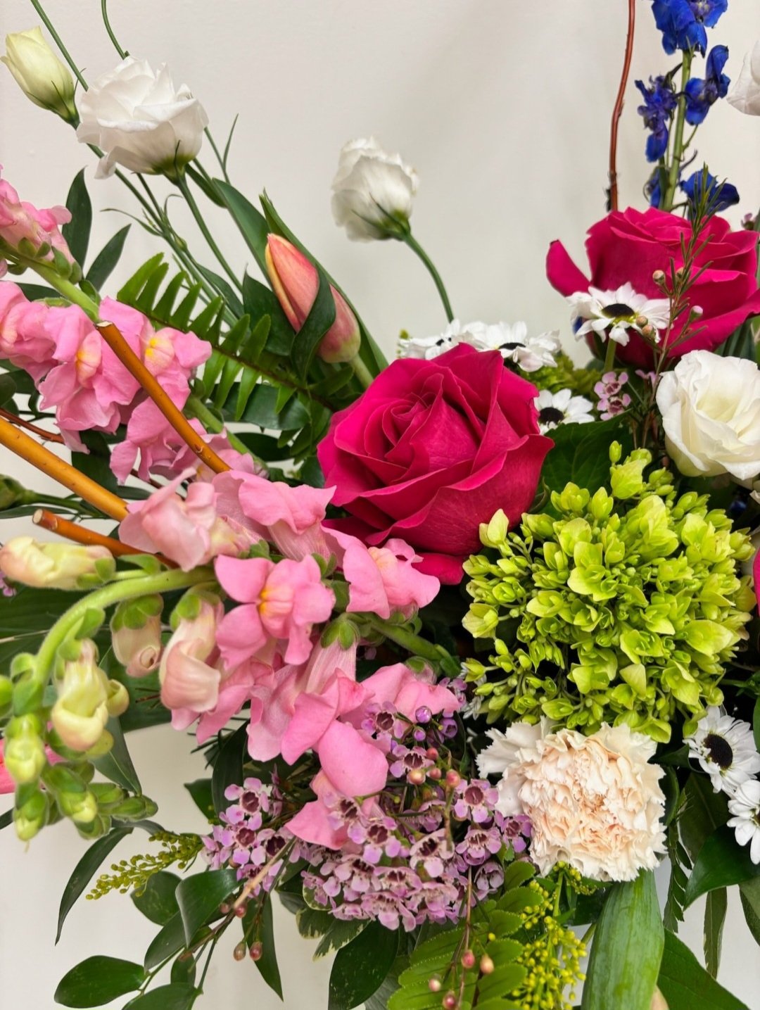 1000029096.jpg