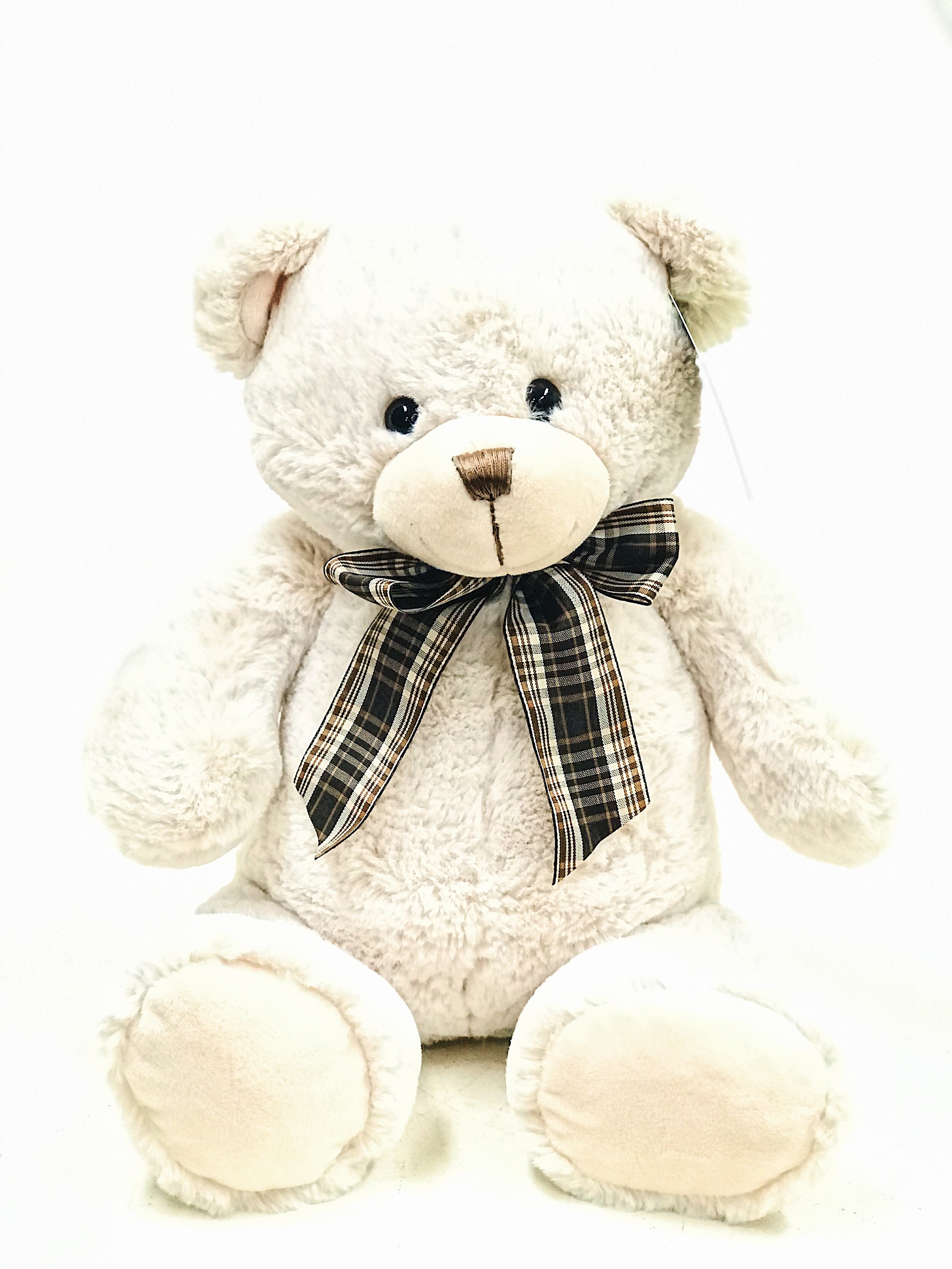 Teddy Bears with Bow