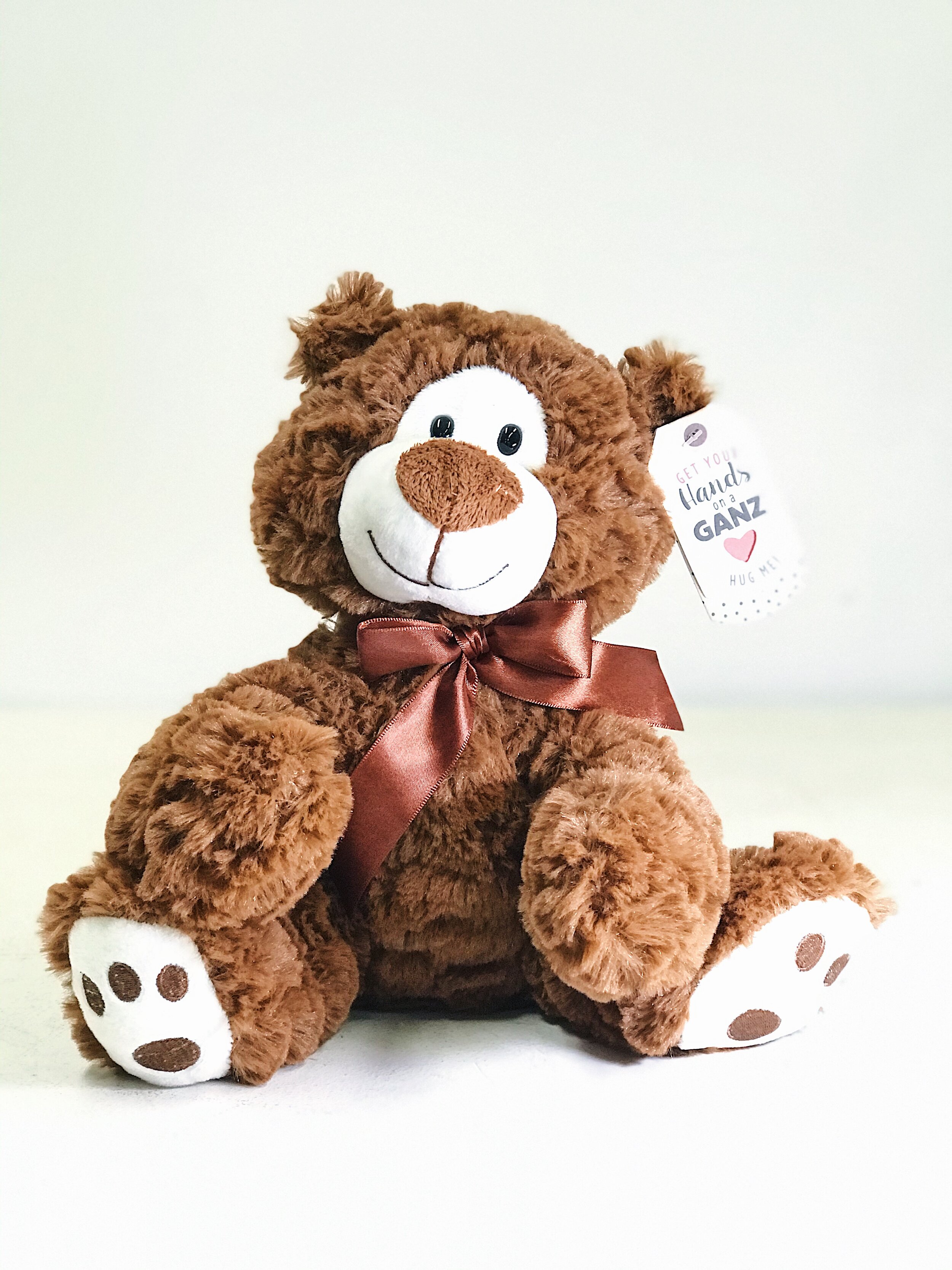 Fluffy Brown Teddy Bear