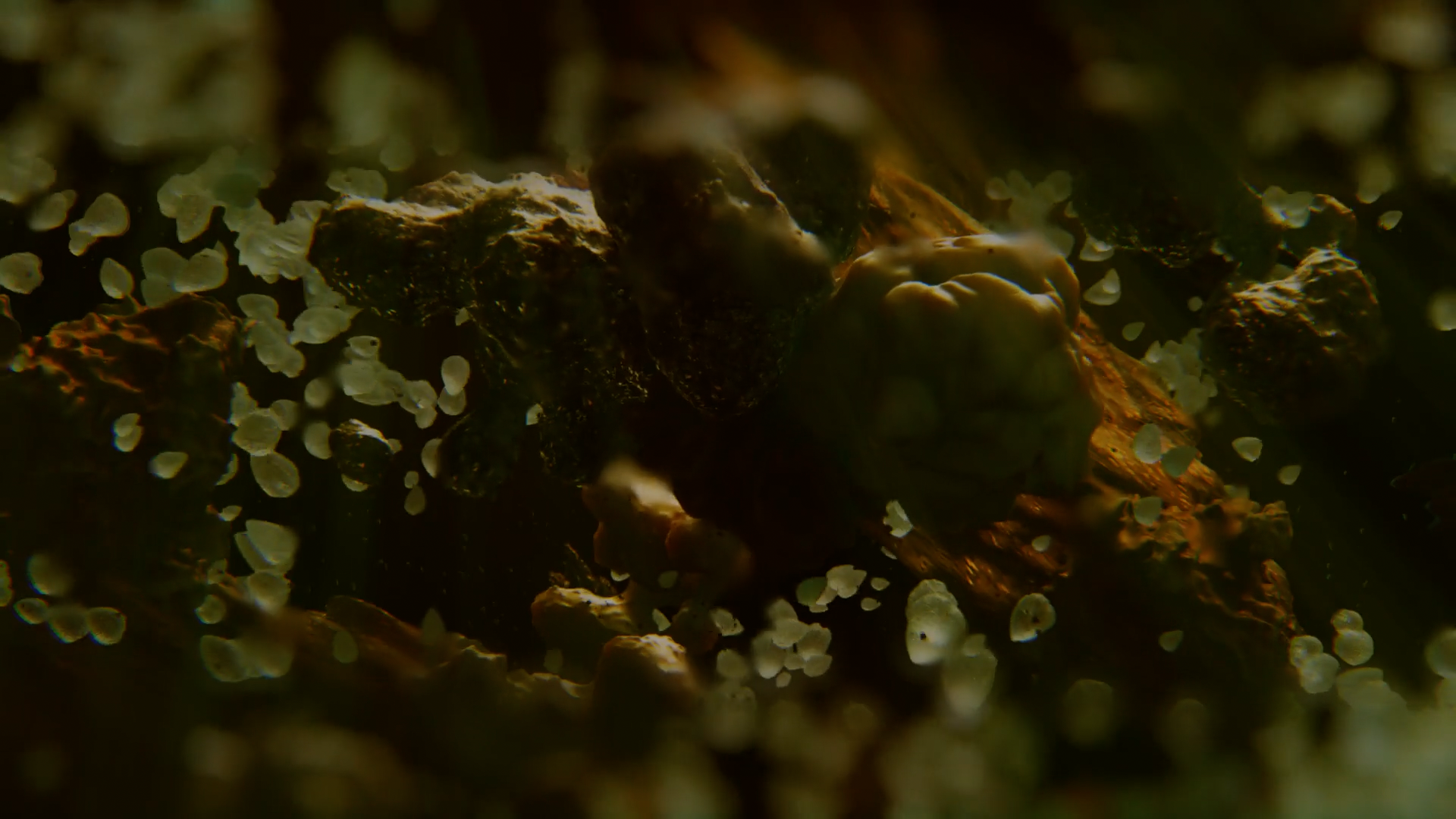 01_DispatchWater.png