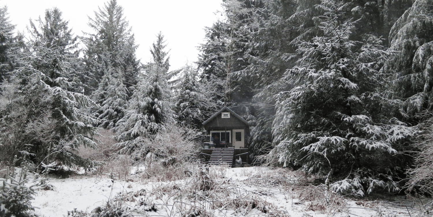 cabin1.png