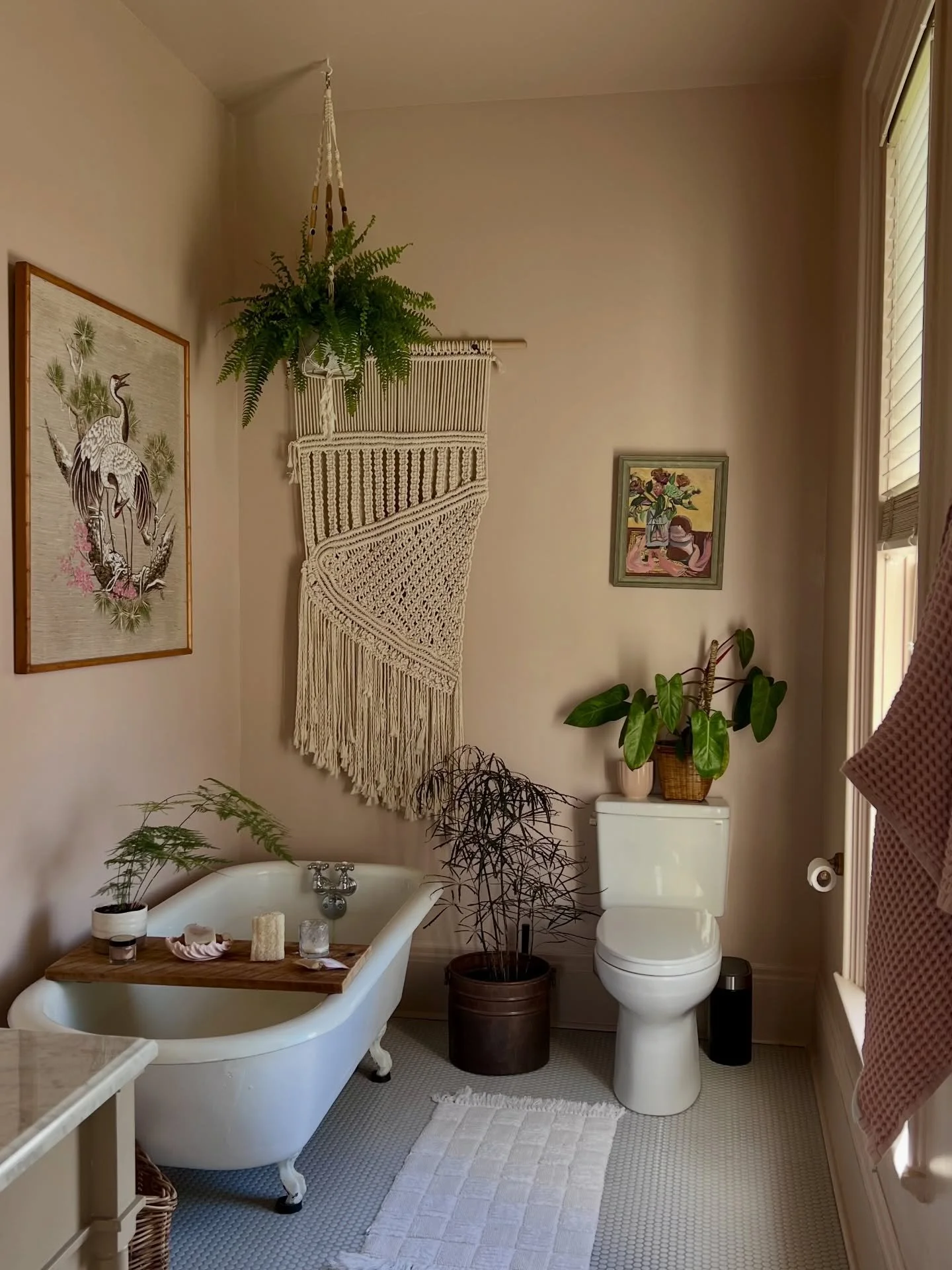 March 16-23, 2026 | In which&hellip;we christen the primary bathroom with a fern; it&rsquo;s warm enough to eat outdoors but it&rsquo;s still chilly at night; the narcissus look their very best in evening light; we celebrate spring equinox with a roa