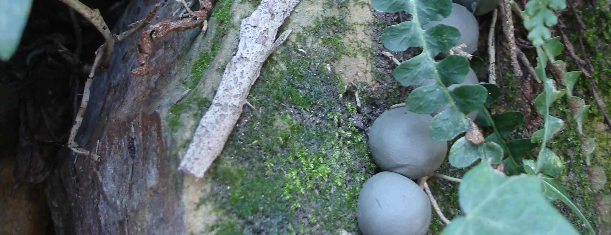 DSC04263 - Version 2.JPG