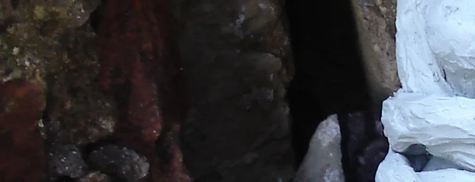 DSC04369 - Version 2.JPG