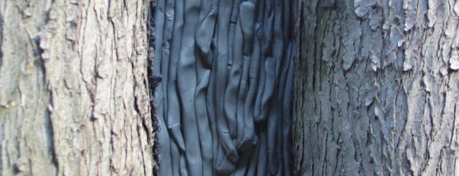 DSC04372 - Version 2.JPG