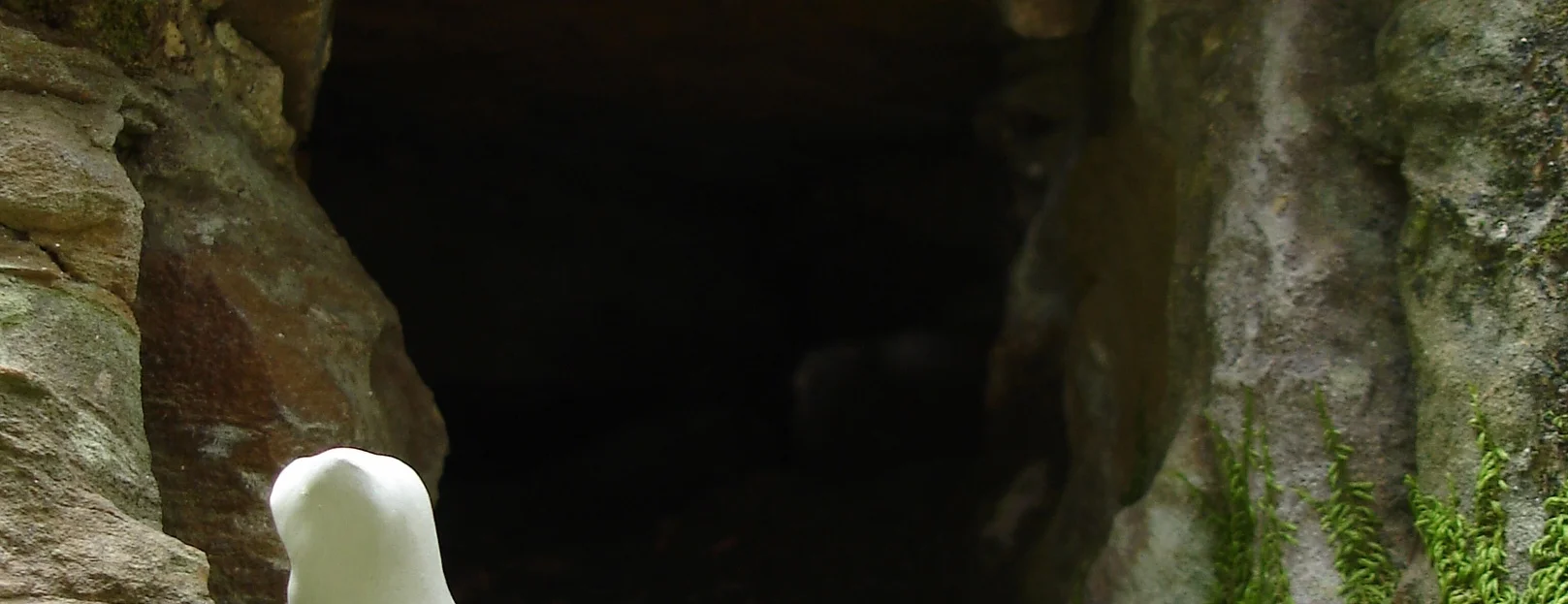 DSC05003.JPG
