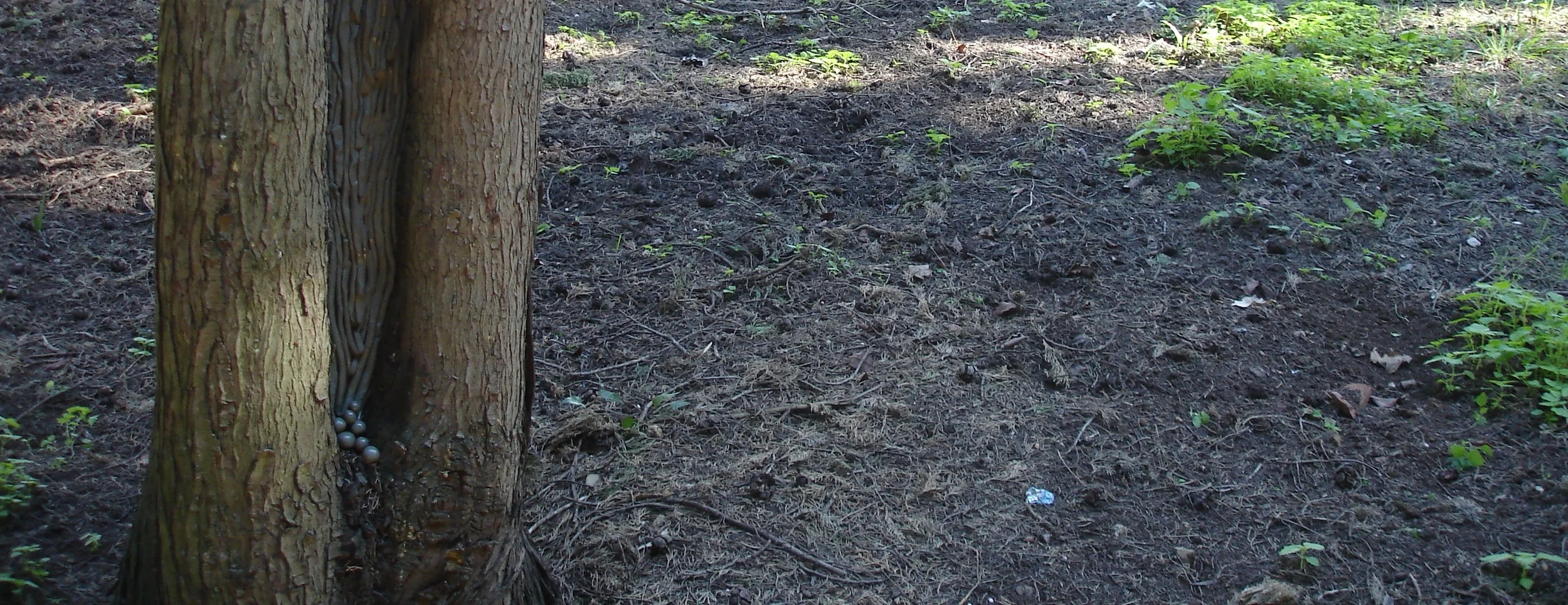 DSC04369 - Version 4.JPG