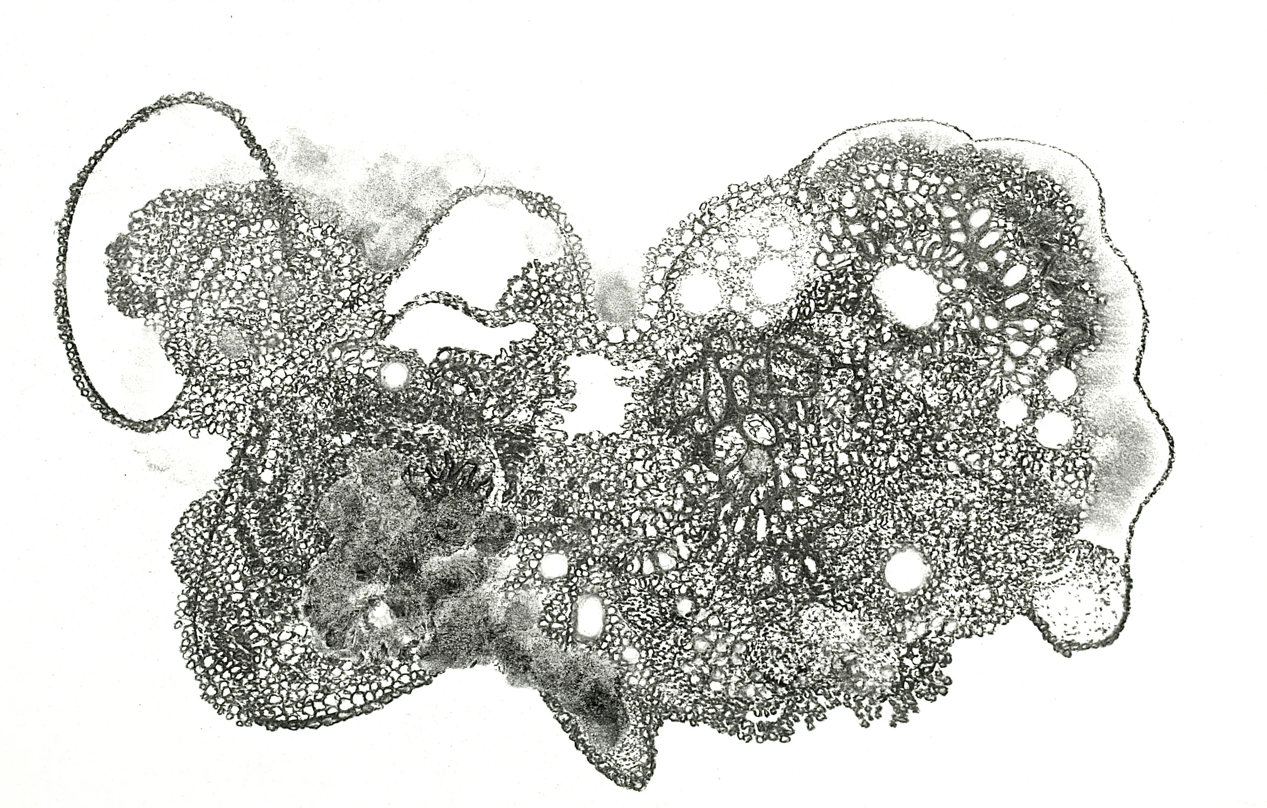 PC256860 - Version 2.JPG